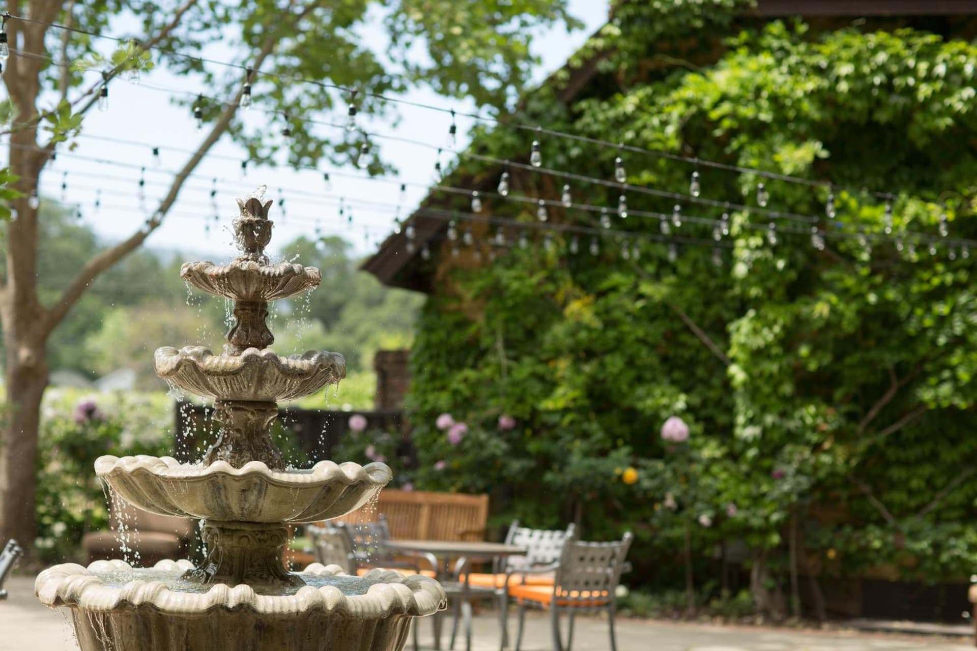 Harvest Inn gallery photo in St. Helena, CA — image 49
