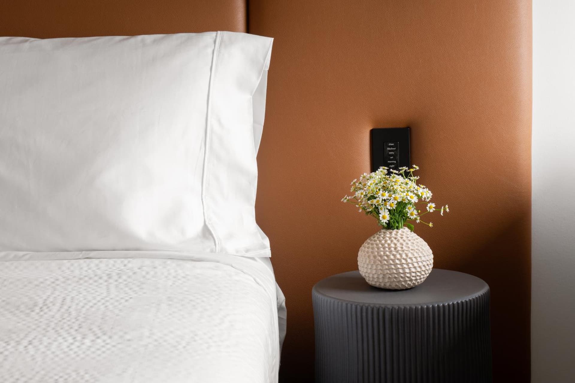 Hotel Marcel New Haven, Tapestry Collection By Hilton gallery photo in New Haven, CT — image 10