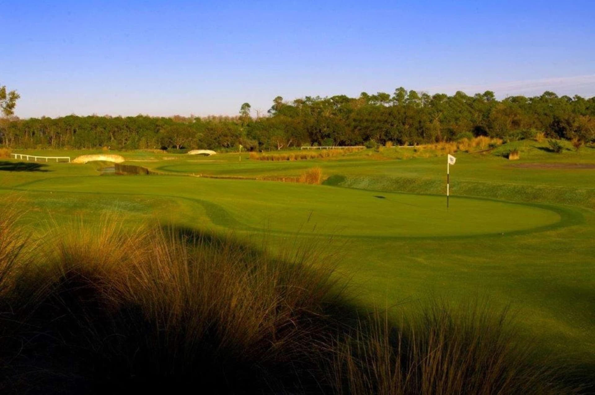 Conrad Orlando at Evermore gallery photo in Orlando, FL — image 131