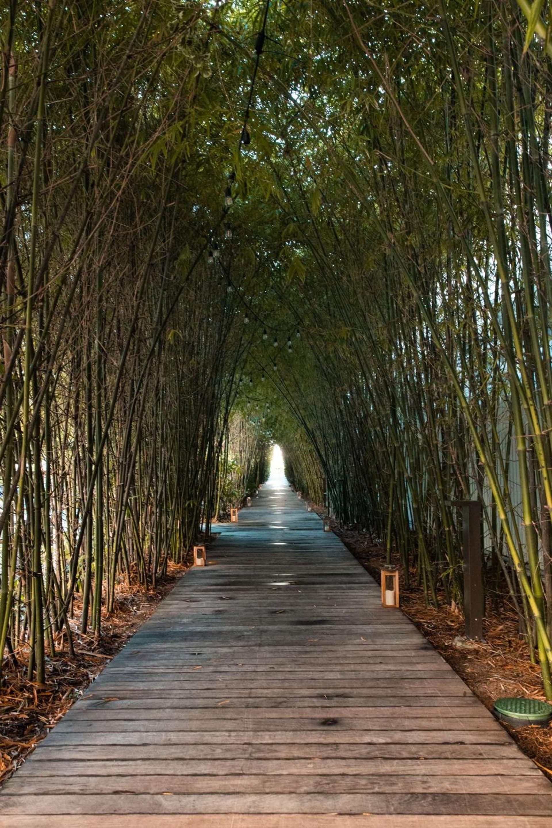 Nautilus Sonesta Miami Beach gallery photo in Miami Beach, FL — image 34