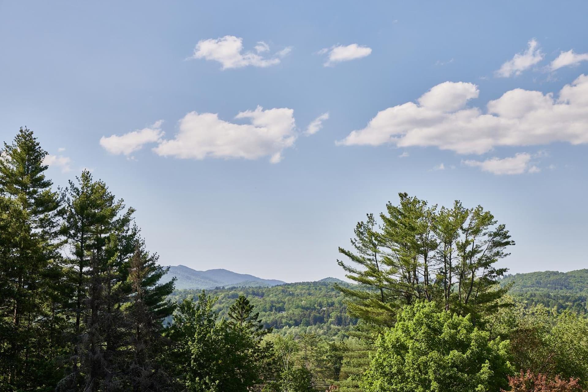 Bluebird Cady Hill Lodge property views in Stowe — gallery photo 3