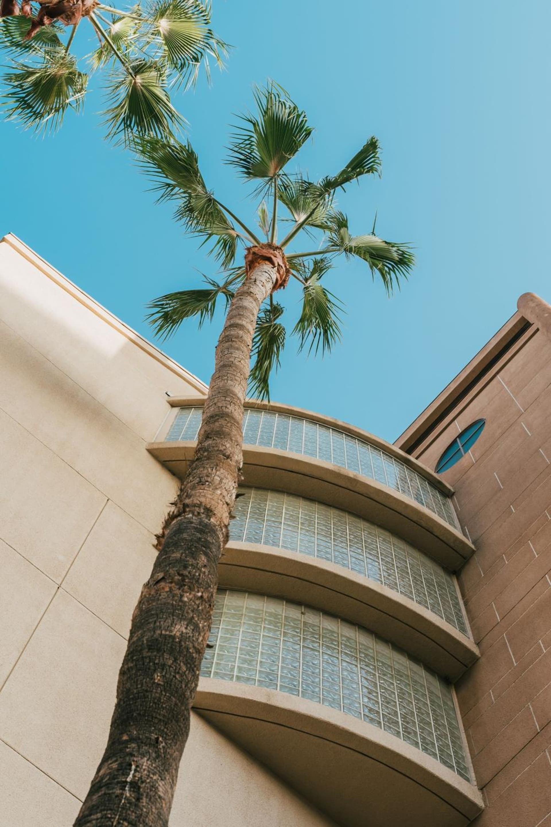 Courtyard by Marriott Los Angeles LAX / Century Boulevard interior in Los Angeles, CA — gallery photo 2