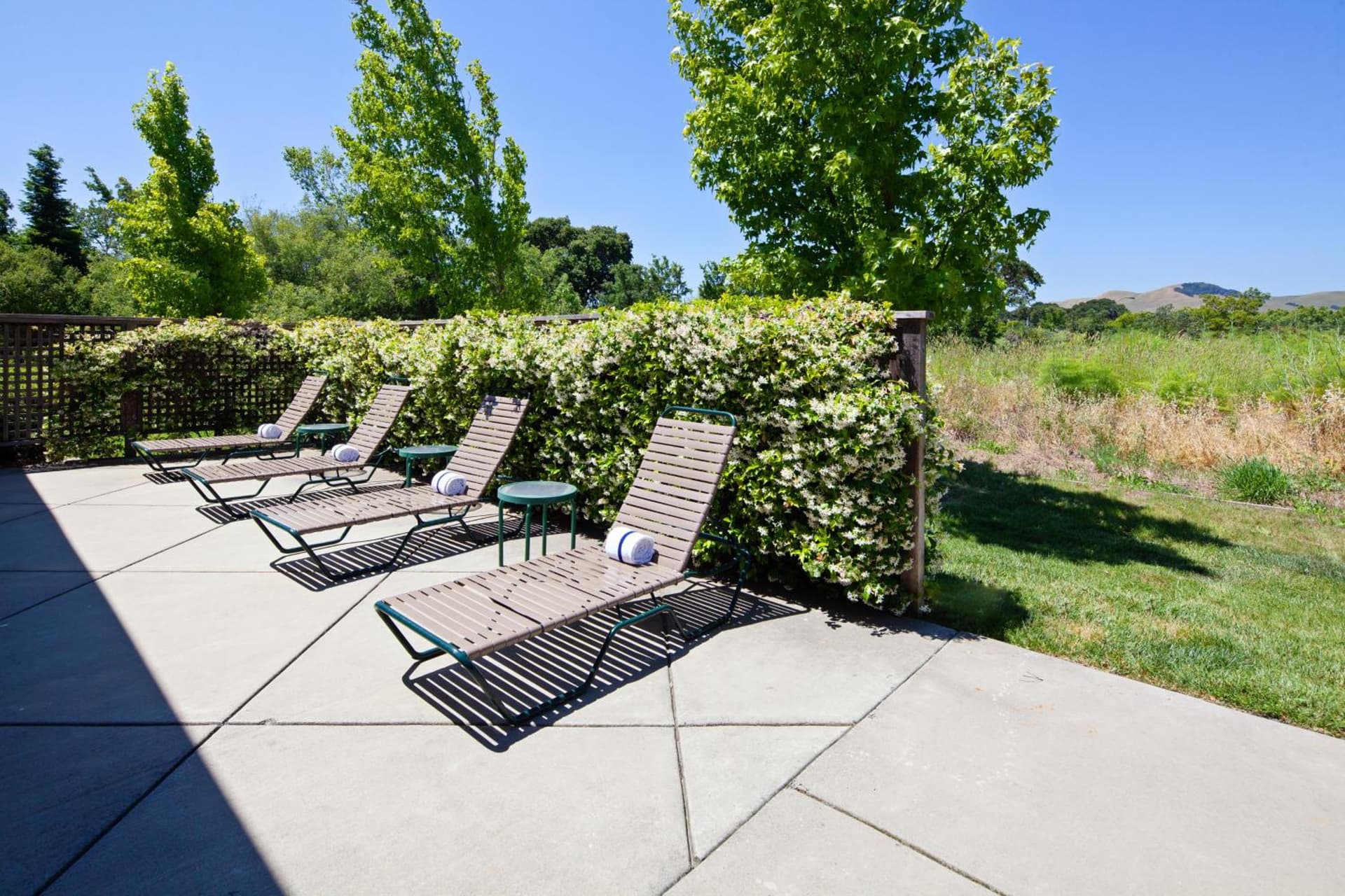 Staybridge Suites Fairfield Napa Valley Area by IHG gallery photo in Fairfield, CA — image 66