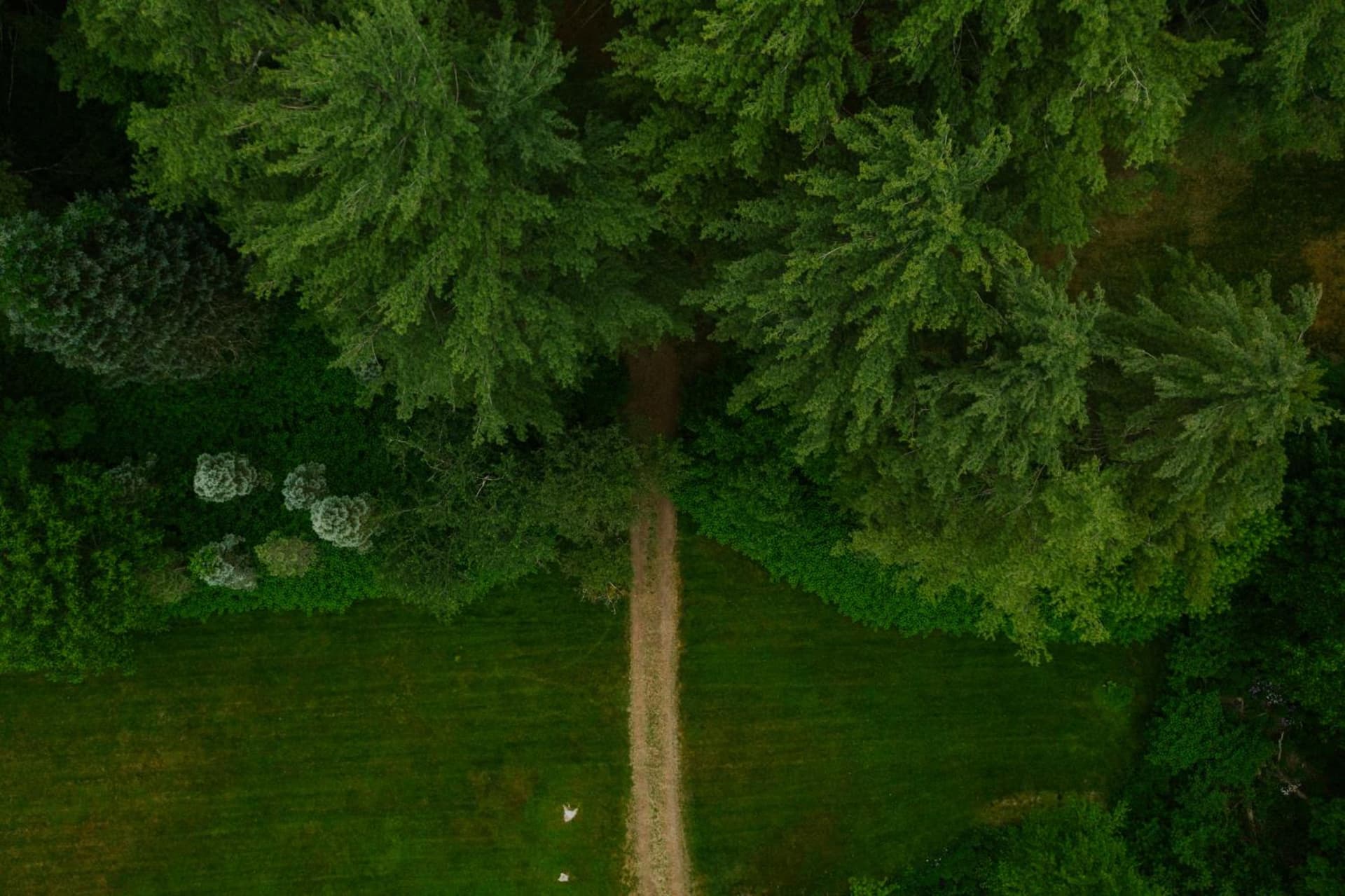 The Leeway gallery photo in Mount Tremper — image 35