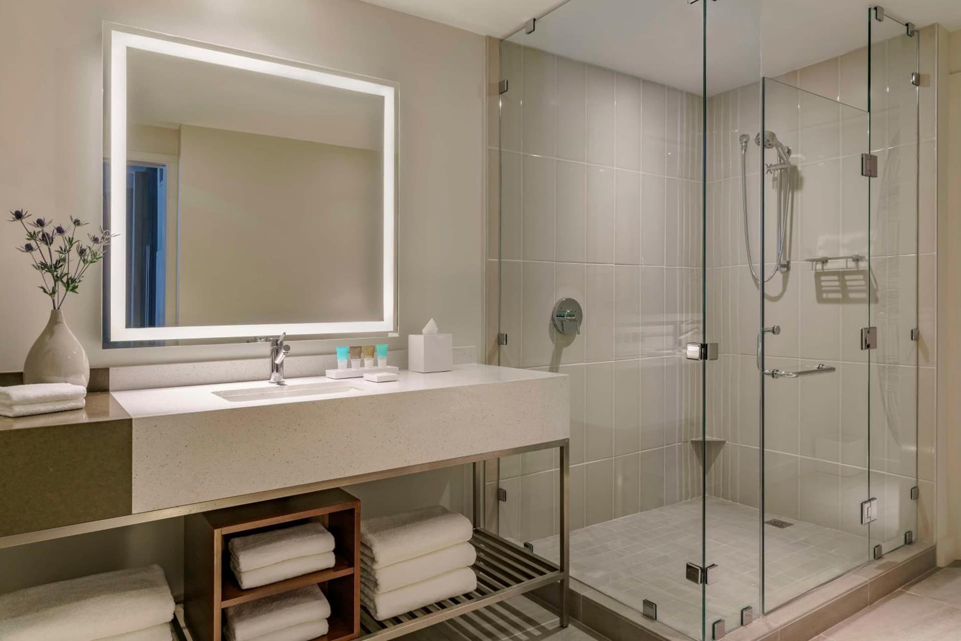 Hyatt Regency Houston Galleria gallery photo in Houston, TX — image 56