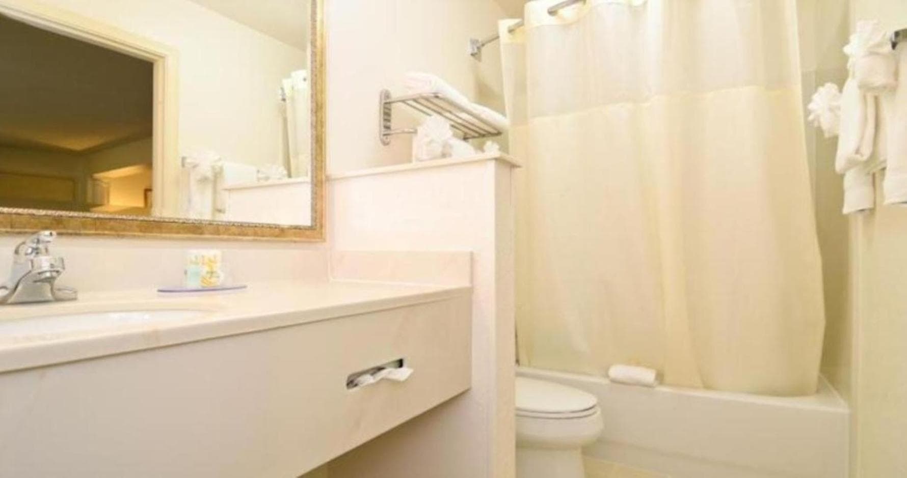 Quality Inn & Suites Biltmore East gallery photo in Asheville, NC — image 11