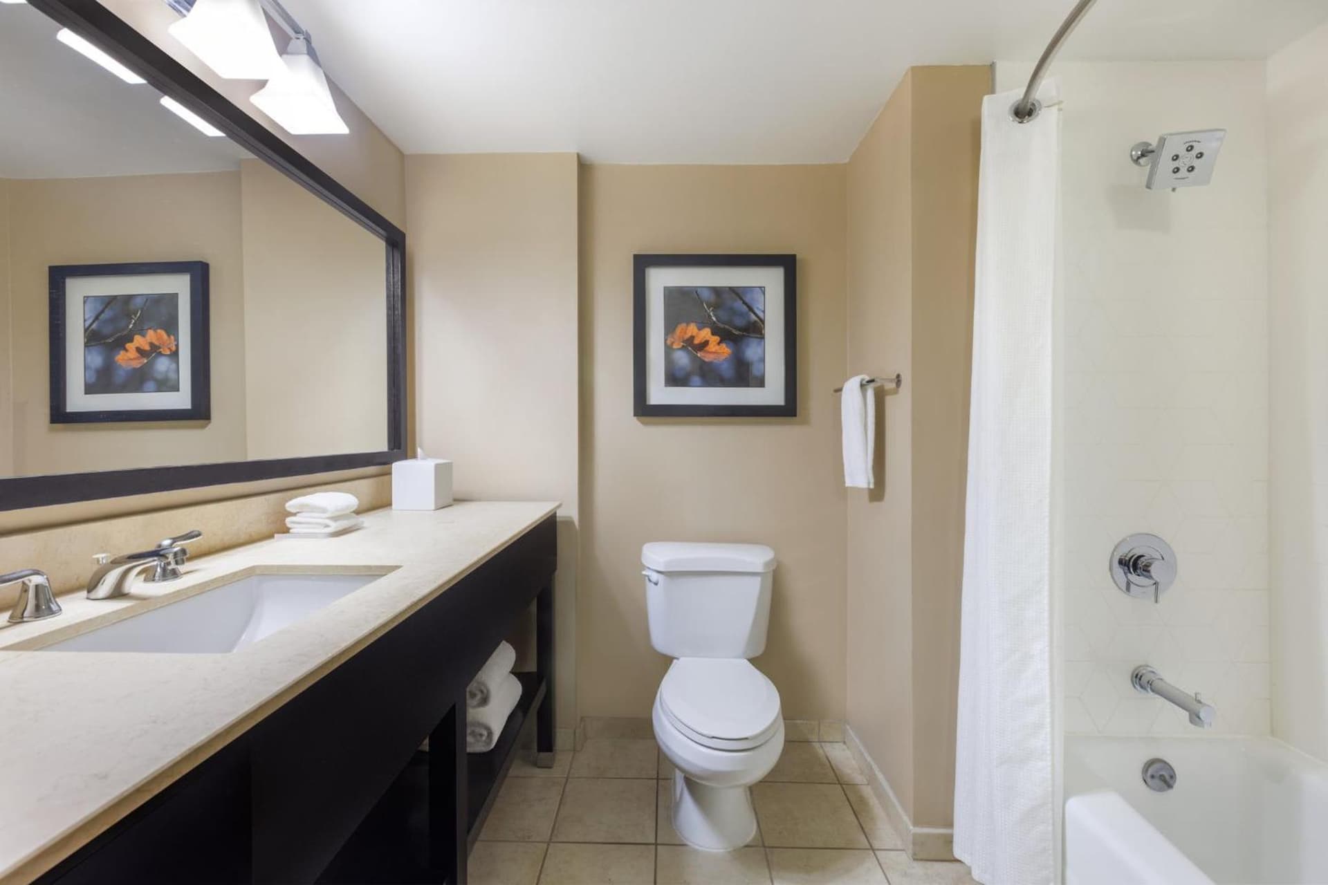 Crowne Plaza Cleveland at Playhouse Square by IHG gallery photo in Cleveland, OH — image 104