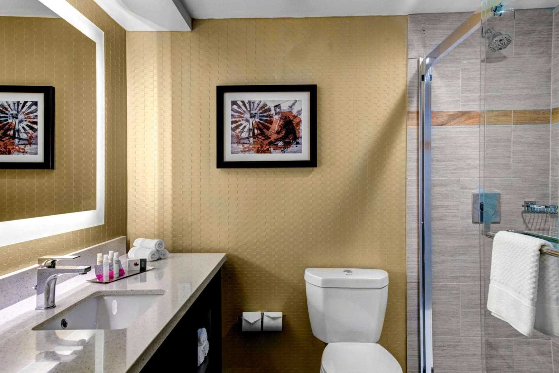 Doubletree by Hilton Arlington DFW South gallery photo in Arlington, TX — image 19