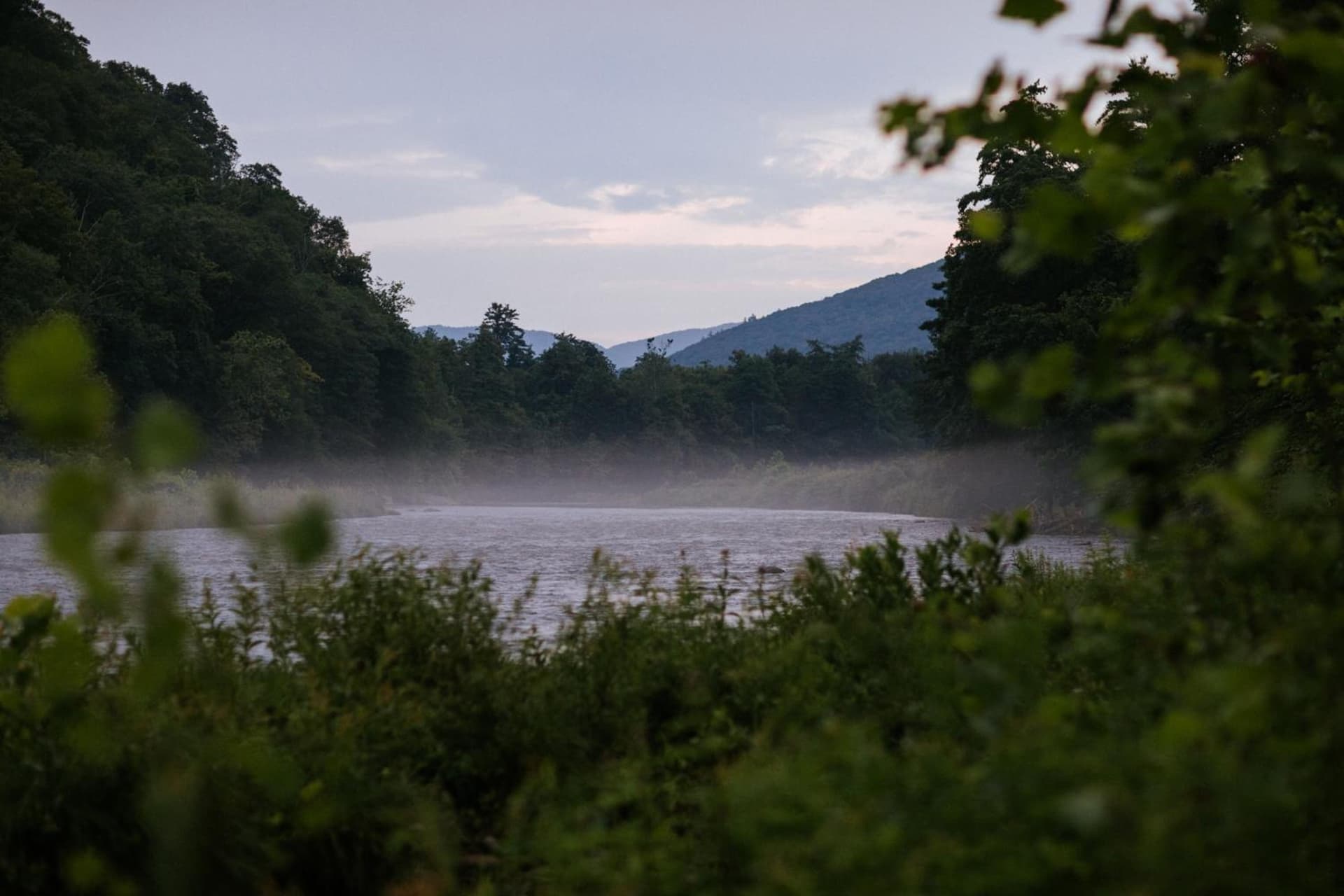 The Leeway gallery photo in Mount Tremper — image 64