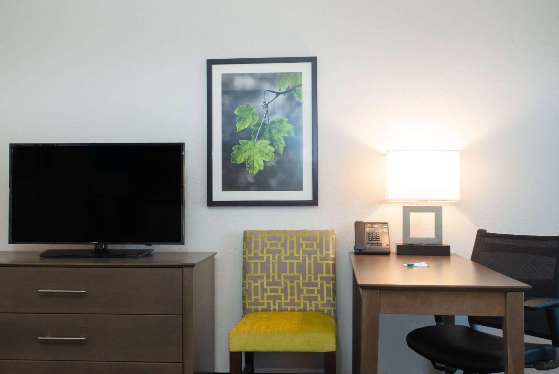 La Quinta by Wyndham Tampa Brandon Regency Park gallery photo in Brandon, FL — image 17