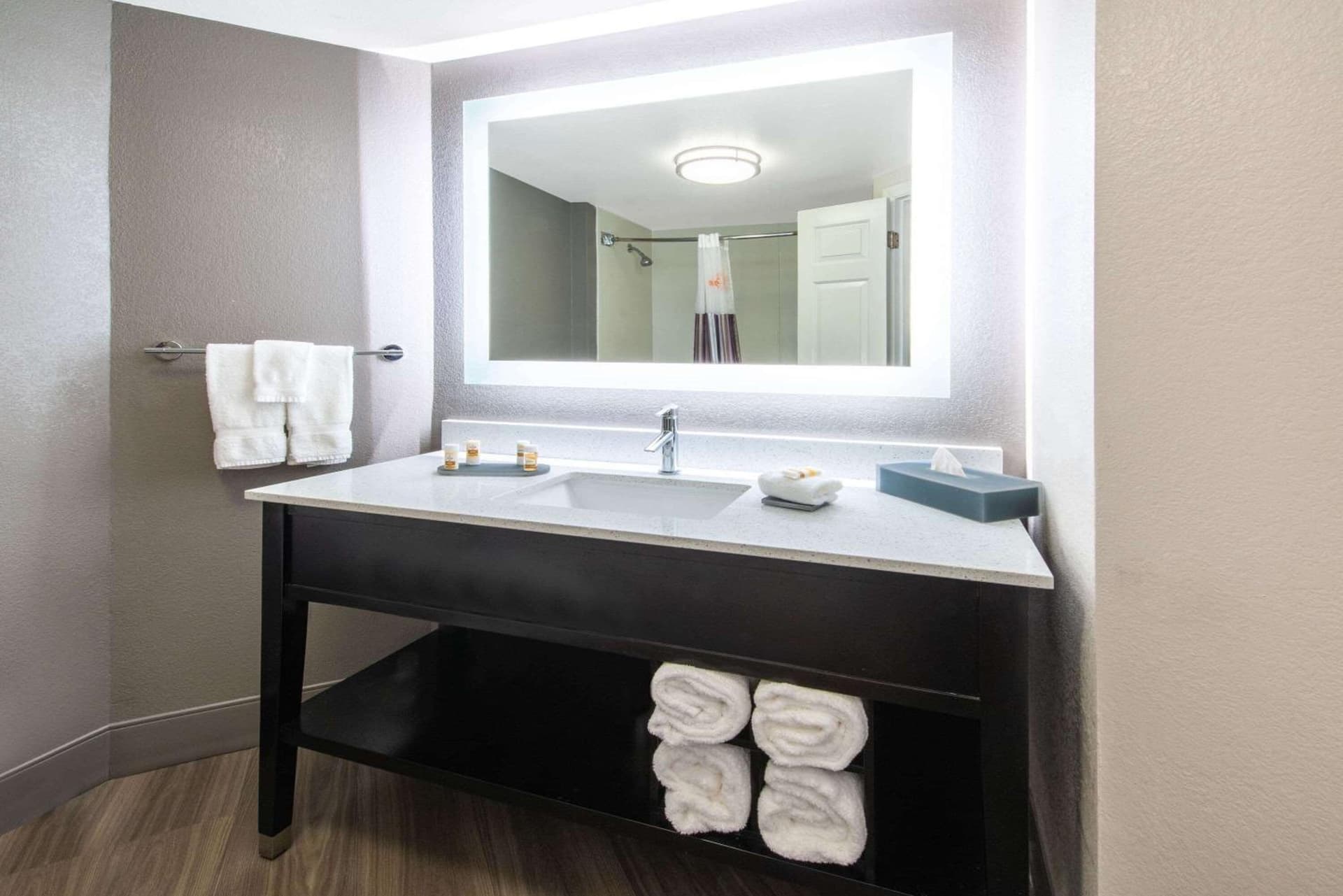 La Quinta by Wyndham Tampa Brandon Regency Park property views in Brandon, FL — gallery photo 3