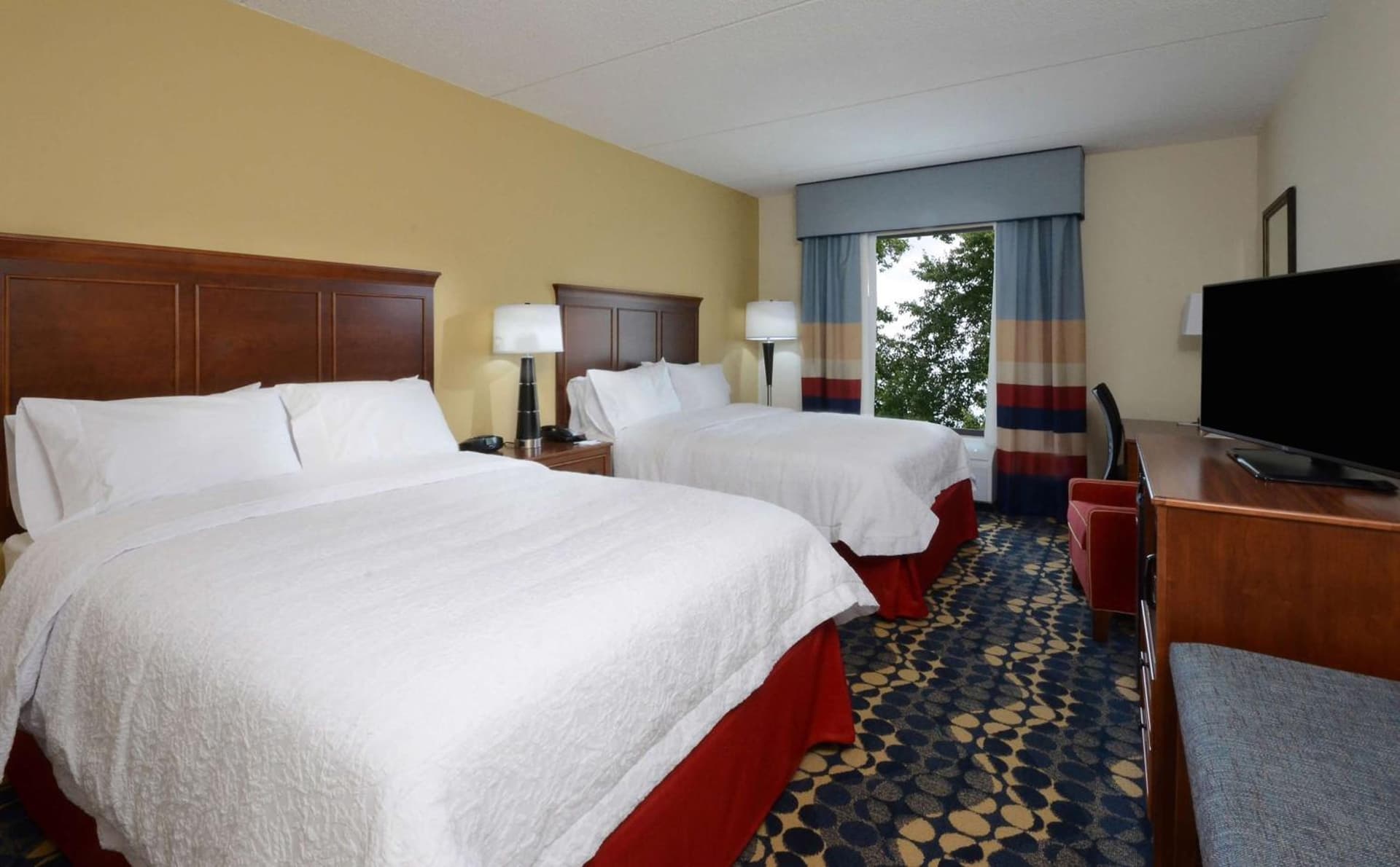 Hampton Inn and Suites Lynchburg gallery photo in Lynchburg, VA — image 48