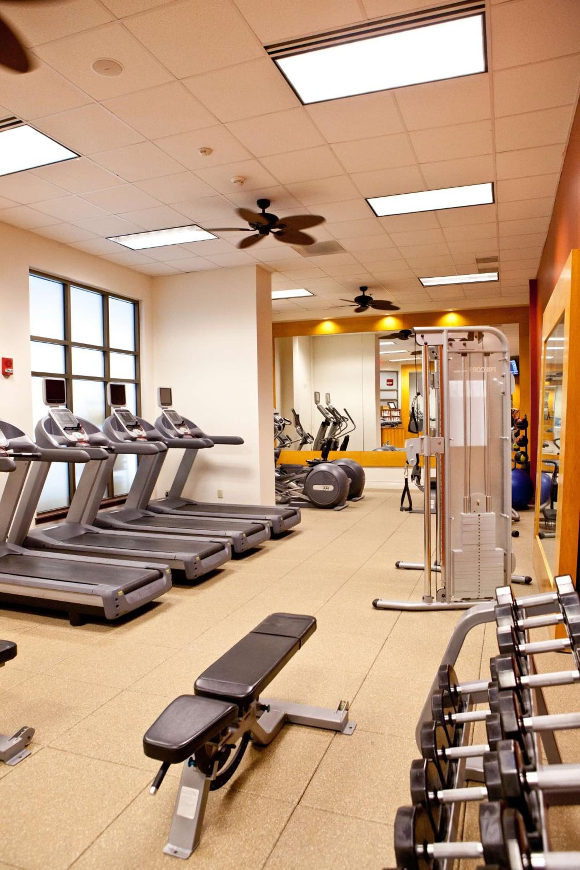 Embassy Suites by Hilton Charlotte Concord Golf Resort & Spa gallery photo in Concord, NC — image 14