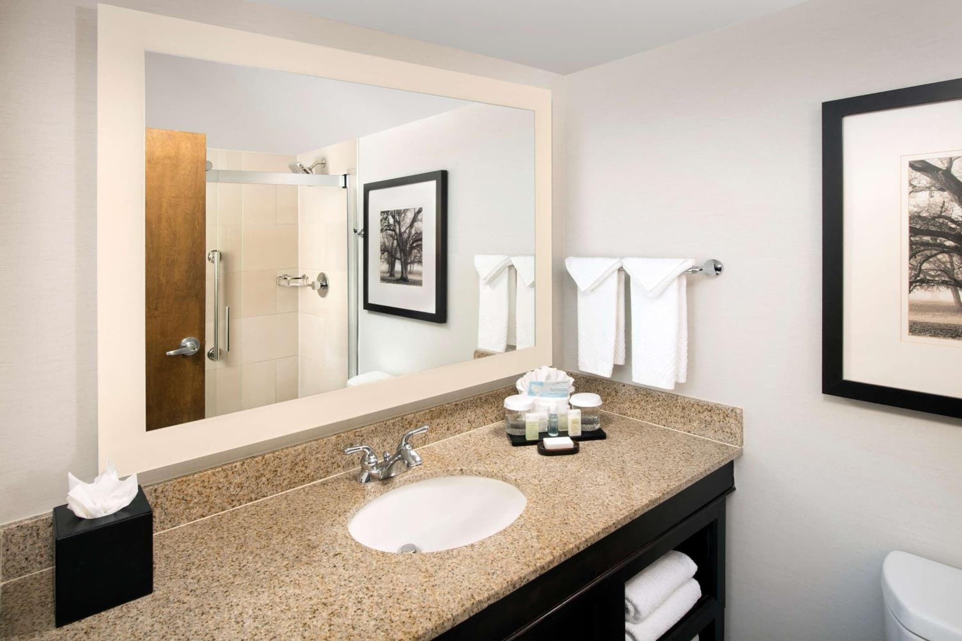 Embassy Suites by Hilton Columbus gallery photo in Columbus, OH — image 24