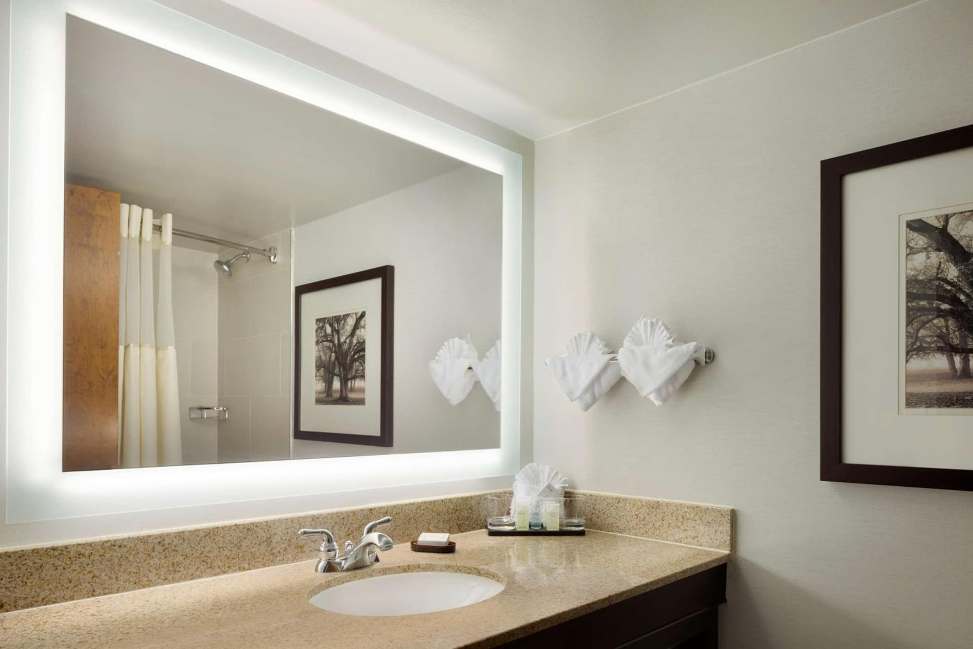Embassy Suites by Hilton Columbus gallery photo in Columbus, OH — image 10