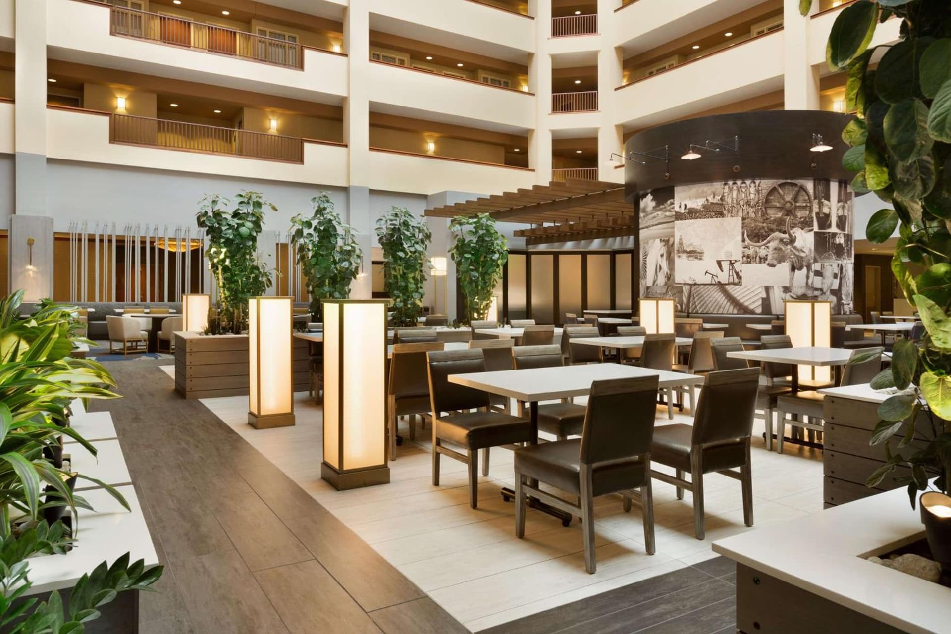 Embassy Suites Dallas - DFW Airport North gallery photo in Grapevine, TX — image 16