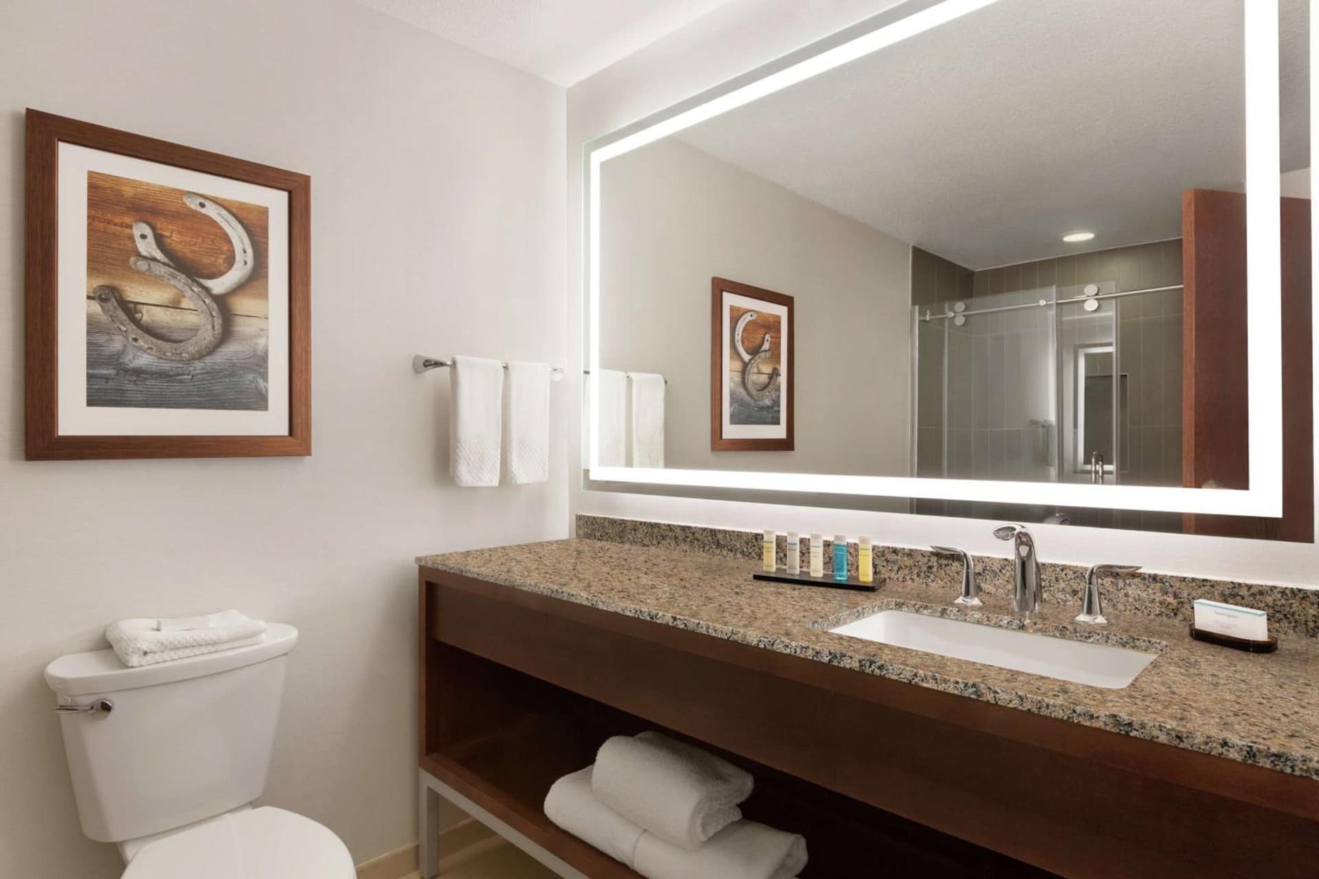 Embassy Suites Dallas - DFW Airport North gallery photo in Grapevine, TX — image 23