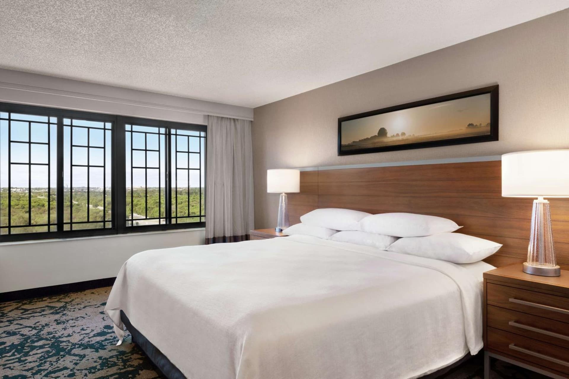 Embassy Suites Dallas - DFW Airport North gallery photo in Grapevine, TX — image 55