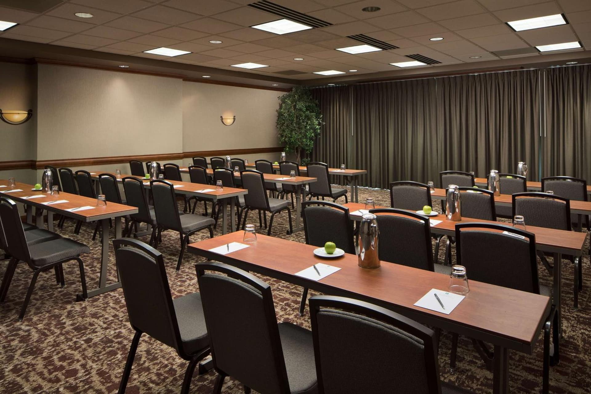 Embassy Suites by Hilton Dallas Frisco Hotel & Convention Center gallery photo in Frisco, TX — image 29
