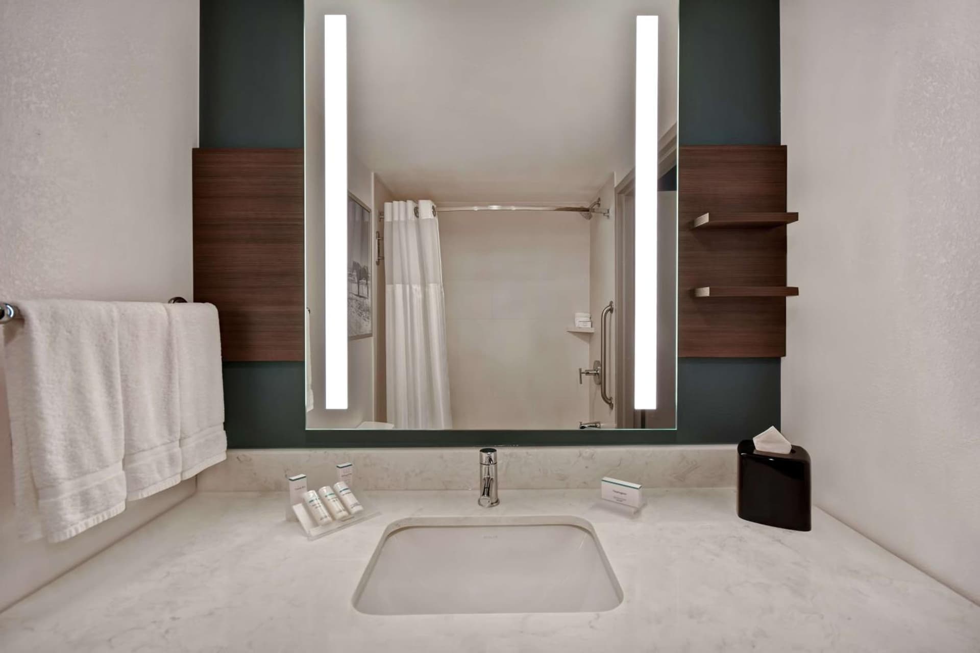 Hilton Garden Inn Houston/Galleria Area gallery photo in Houston, TX — image 37