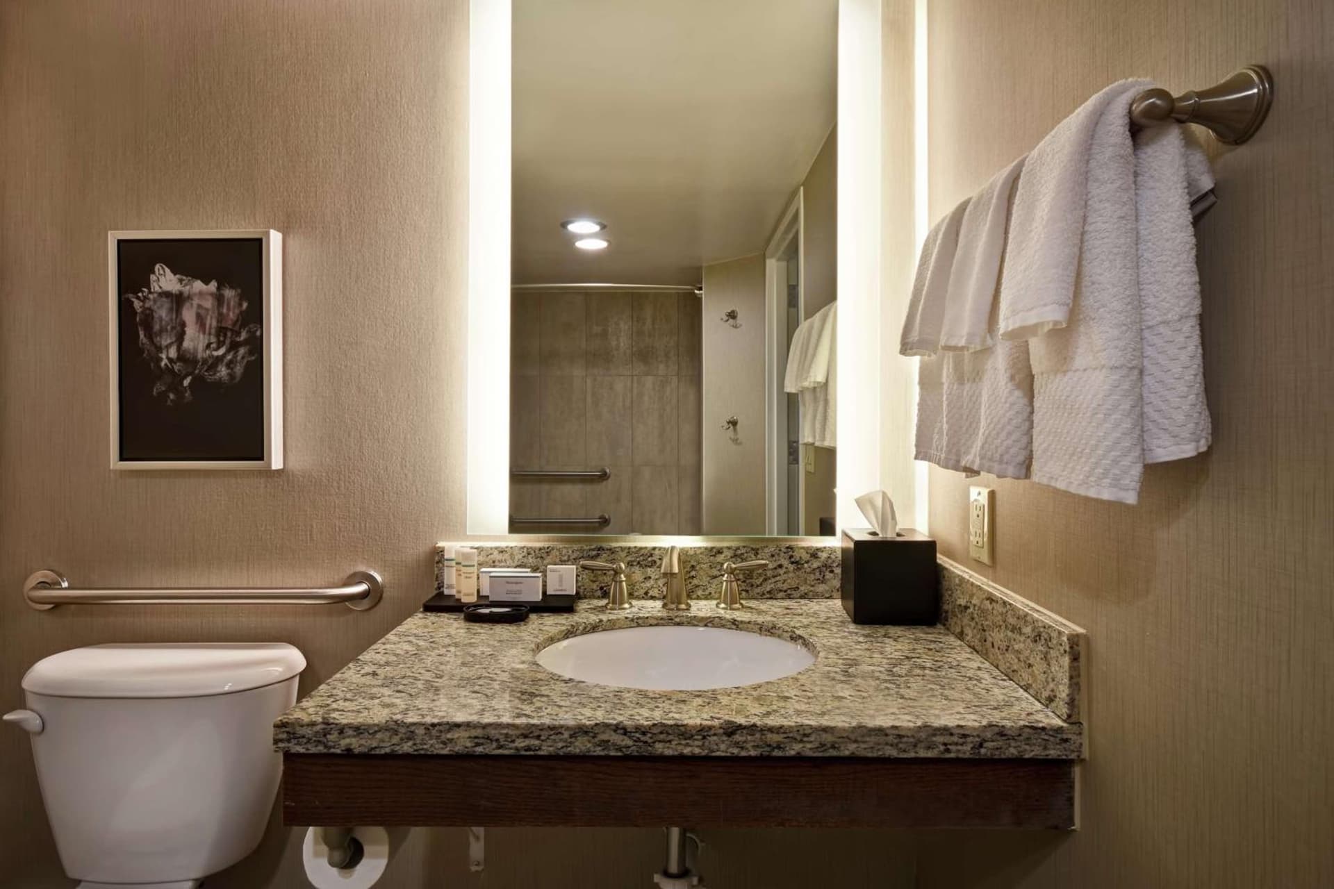Embassy Suites Montgomery - Hotel & Conference Center gallery photo in Montgomery, AL — image 54