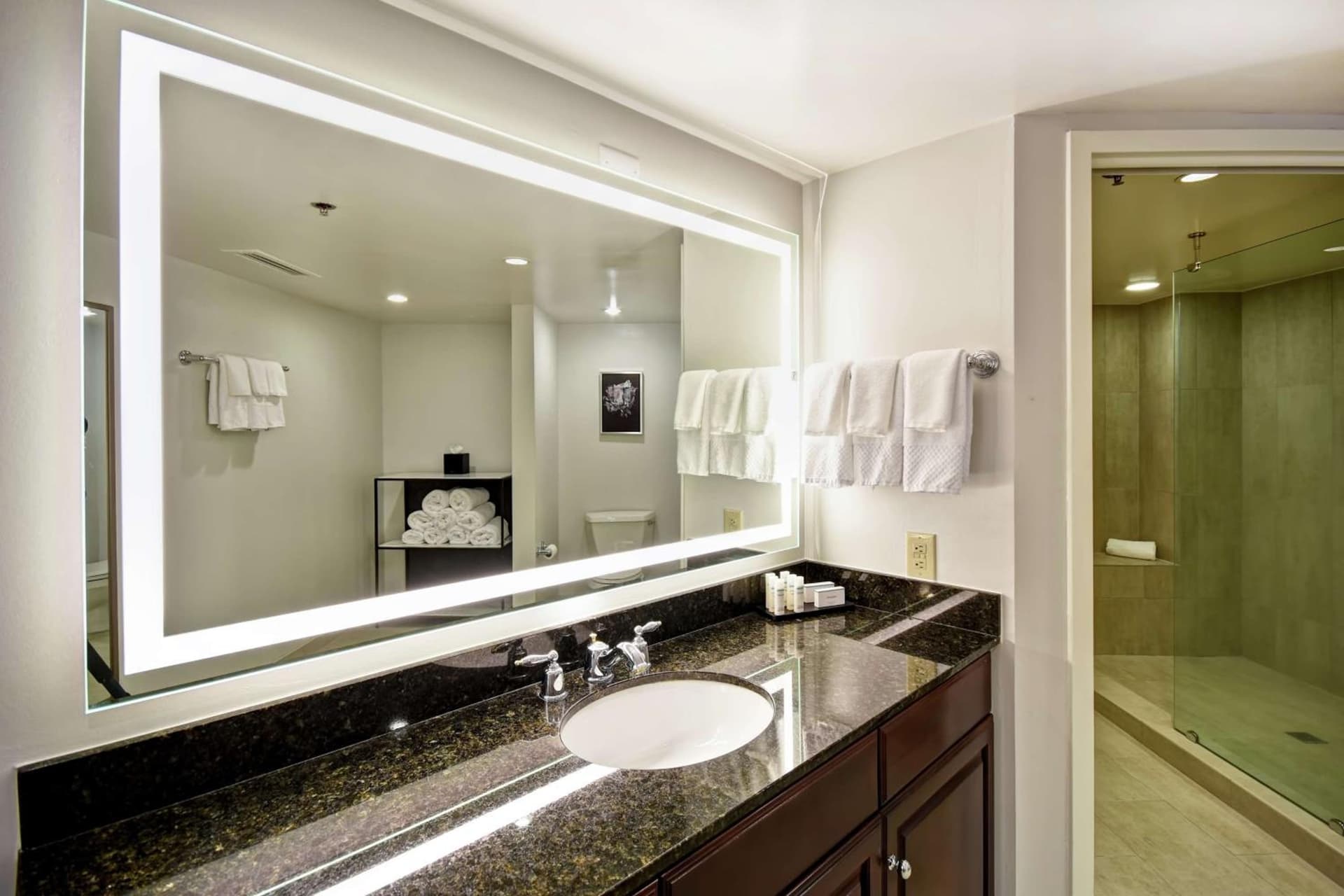 Embassy Suites Montgomery - Hotel & Conference Center gallery photo in Montgomery, AL — image 50
