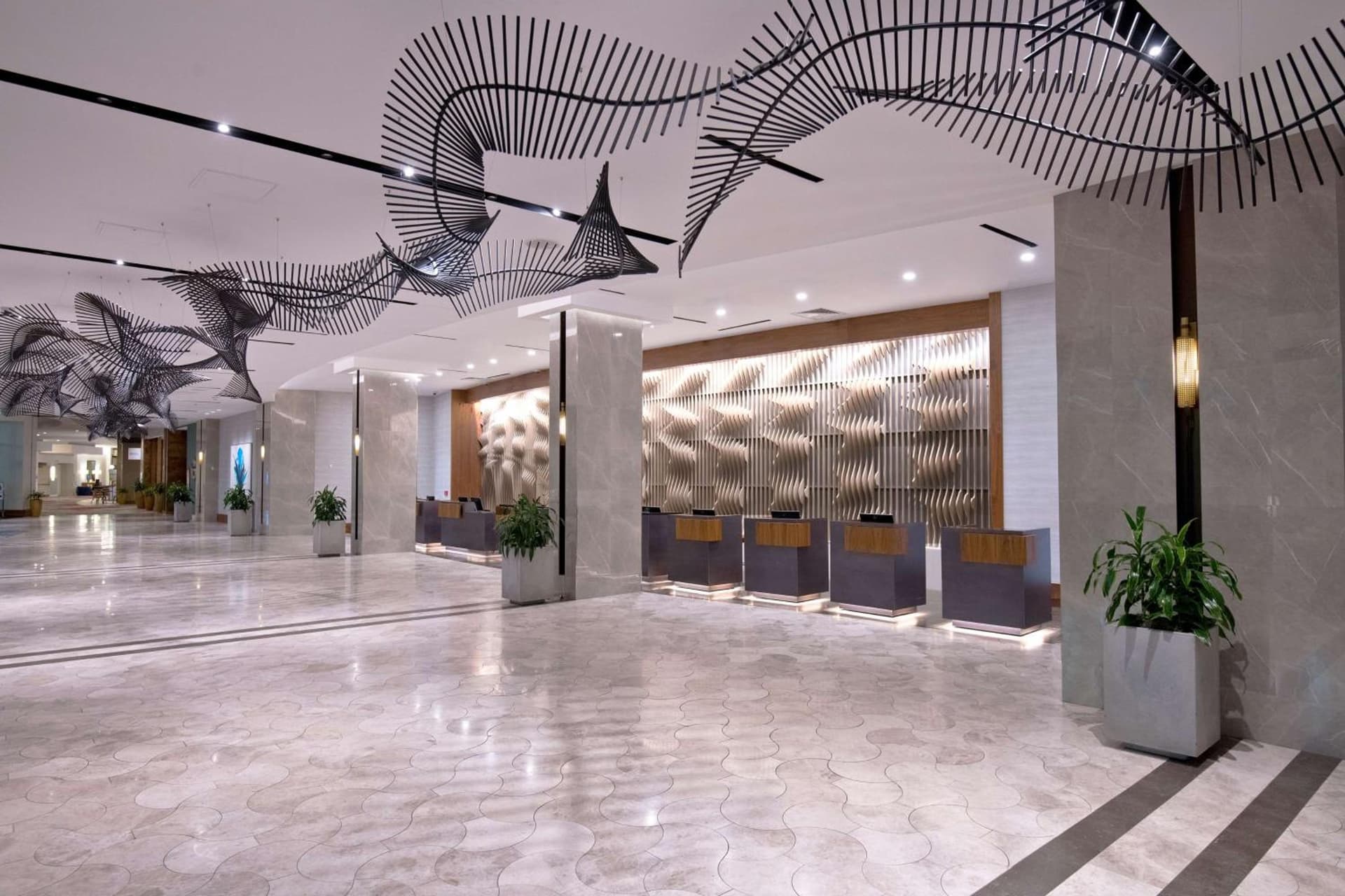 Hilton Orlando gallery photo in Orlando, FL — image 30