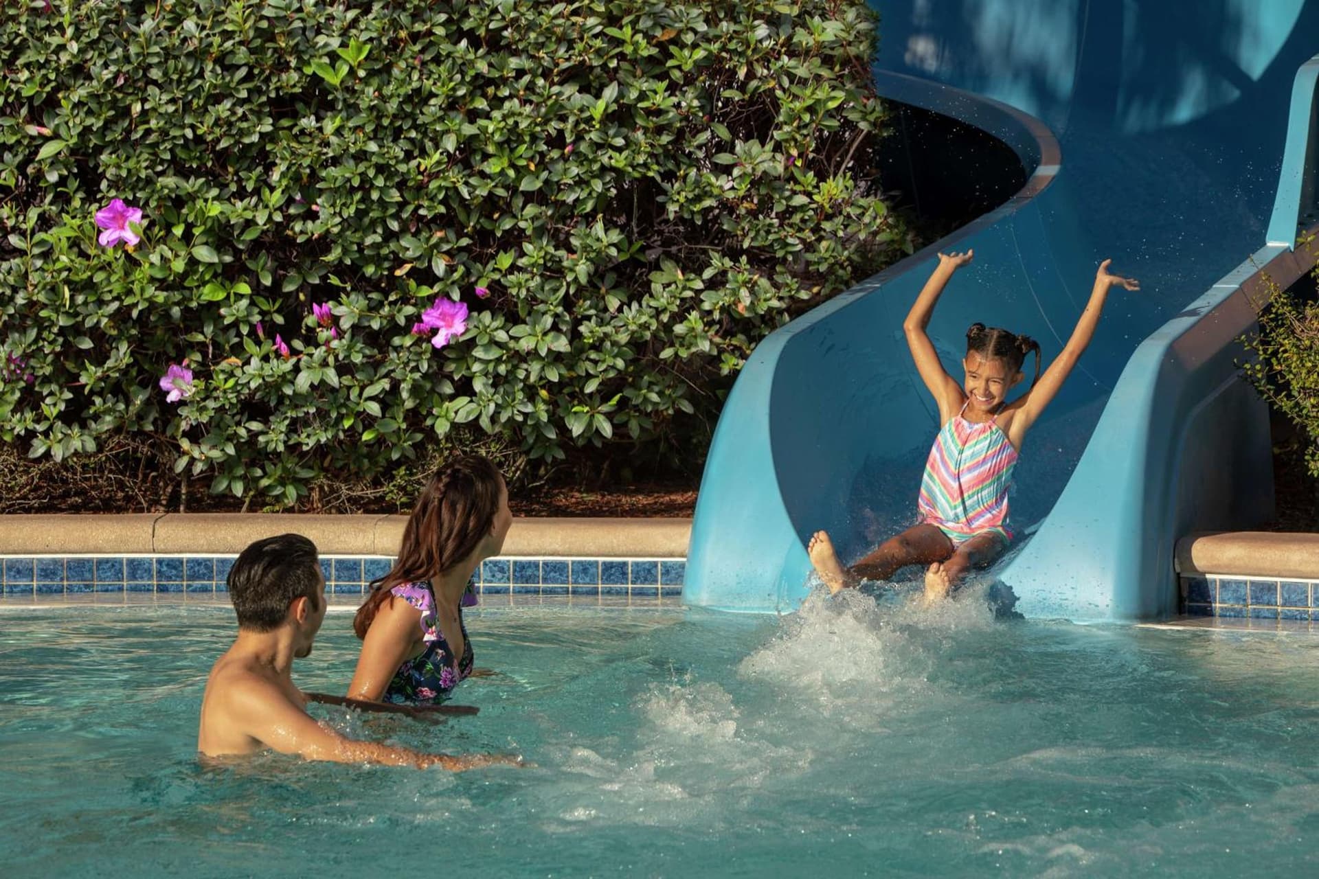 Hilton Orlando gallery photo in Orlando, FL — image 44