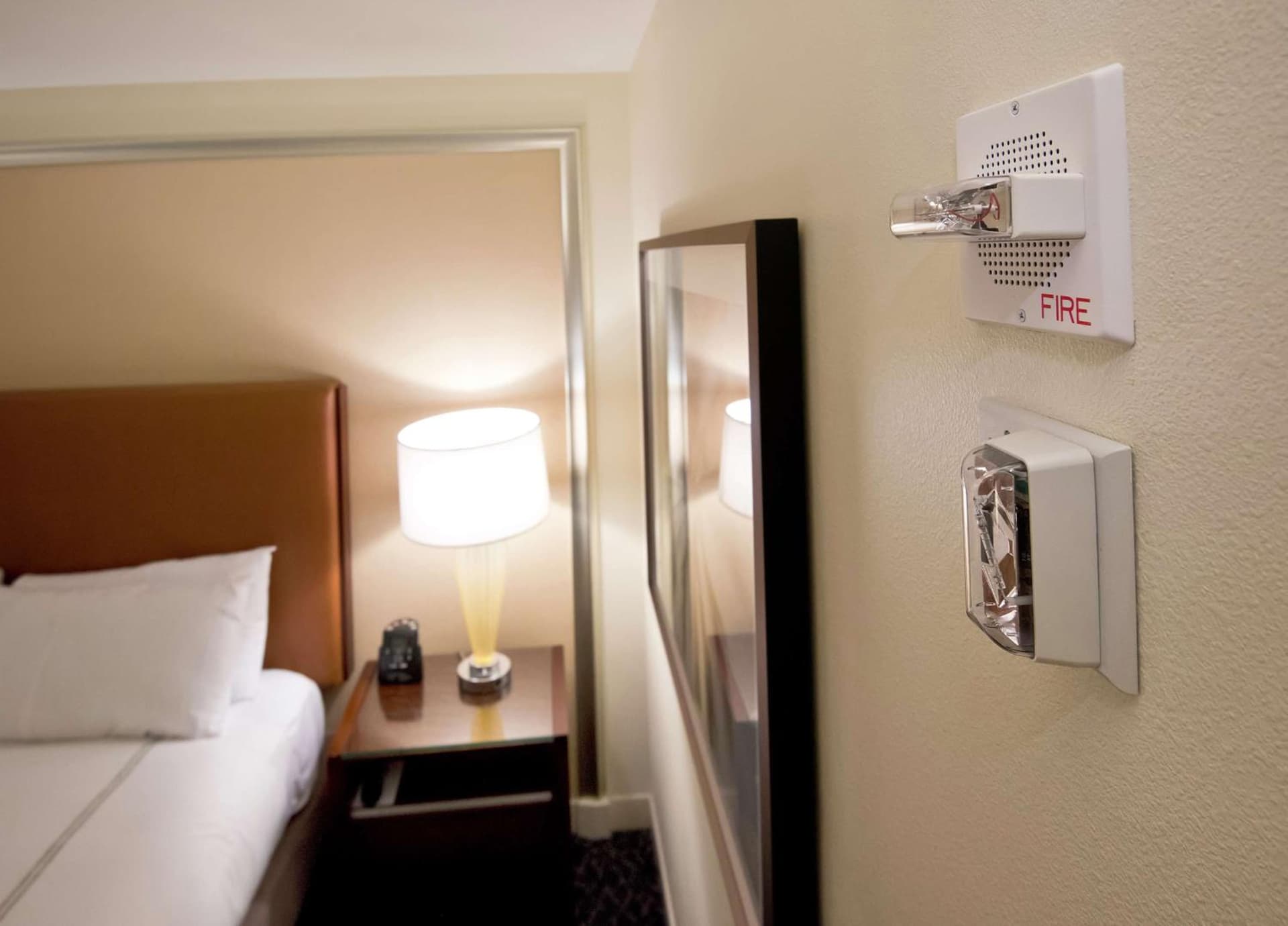 Hilton Orlando gallery photo in Orlando, FL — image 20