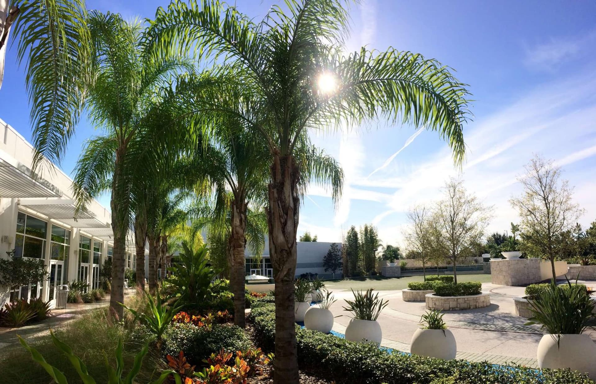 Hilton Orlando gallery photo in Orlando, FL — image 58