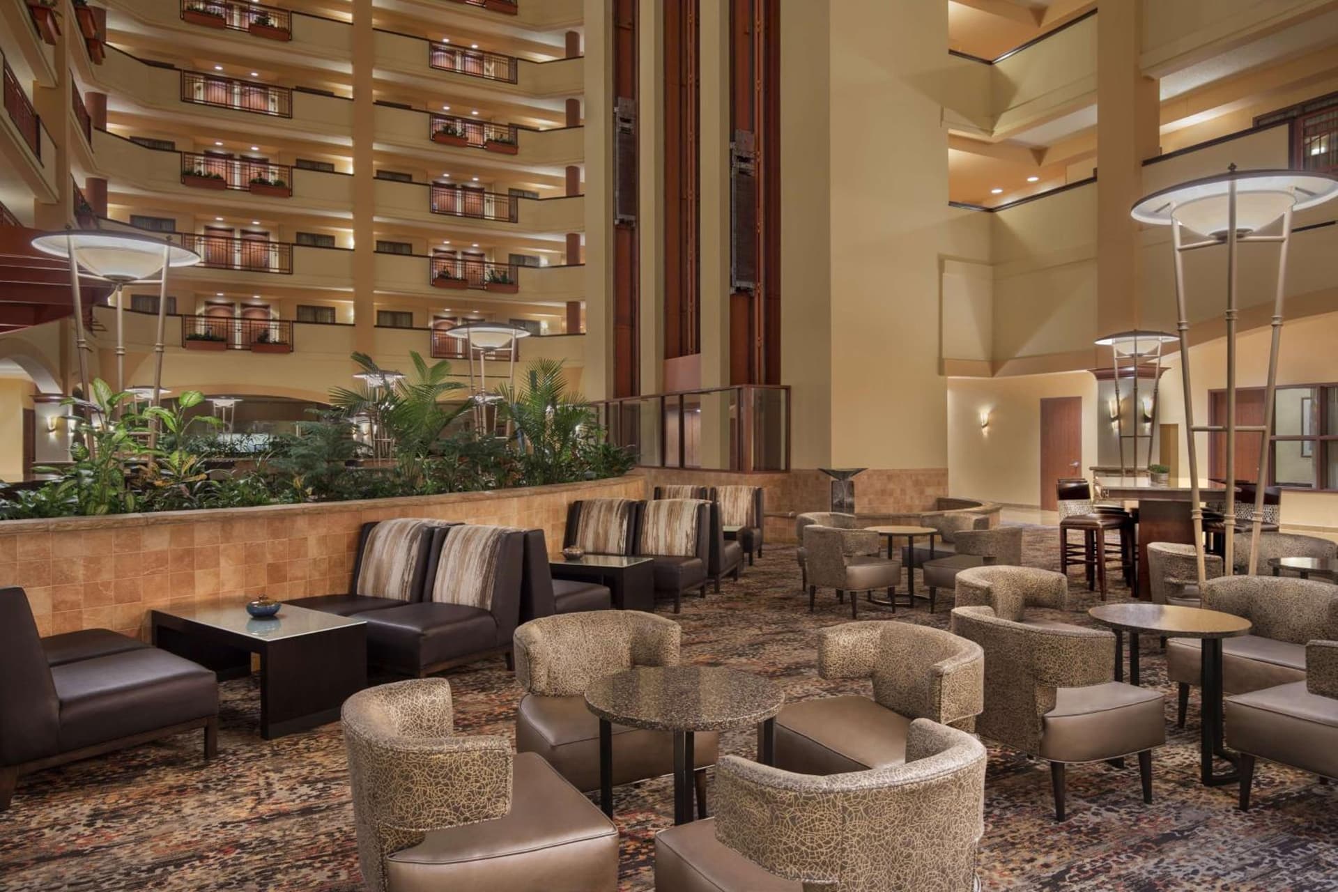 Embassy Suites San Marcos Hotel Conference Center gallery photo in San Marcos, TX — image 19