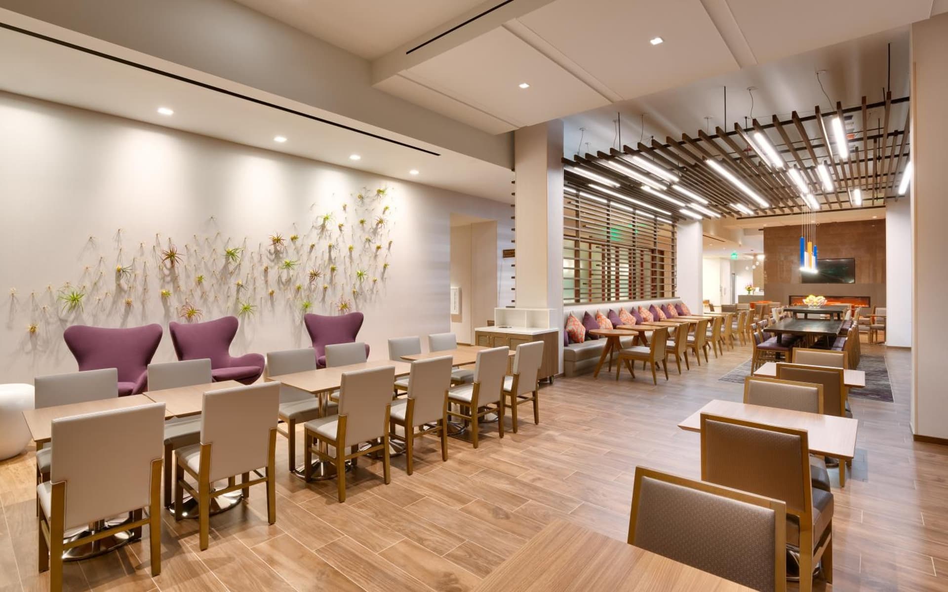 Hampton Inn & Suites Anaheim Resort Convention Center gallery photo in Anaheim, CA — image 5