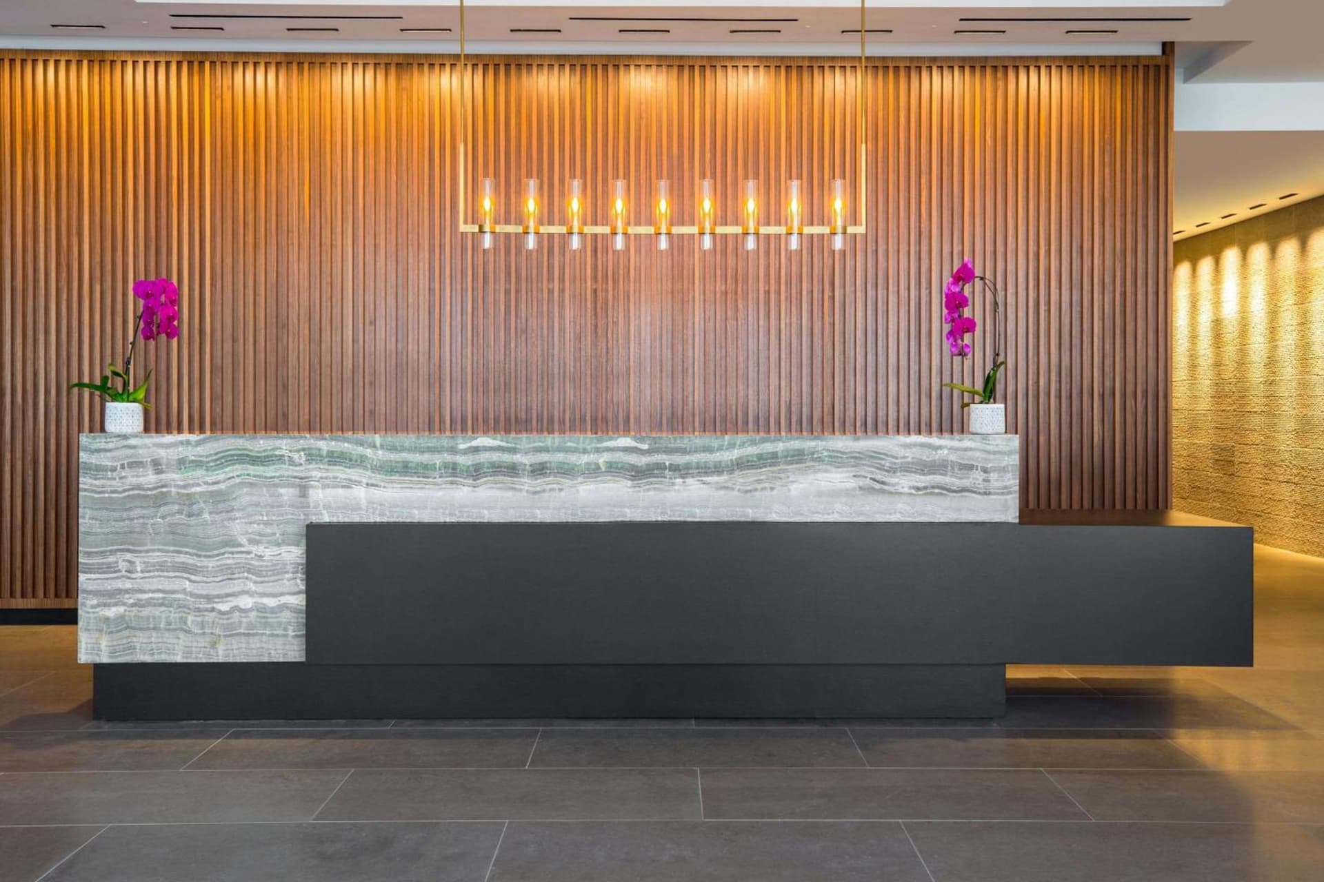 C. Baldwin, Curio Collection by Hilton gallery photo in Houston, TX — image 17