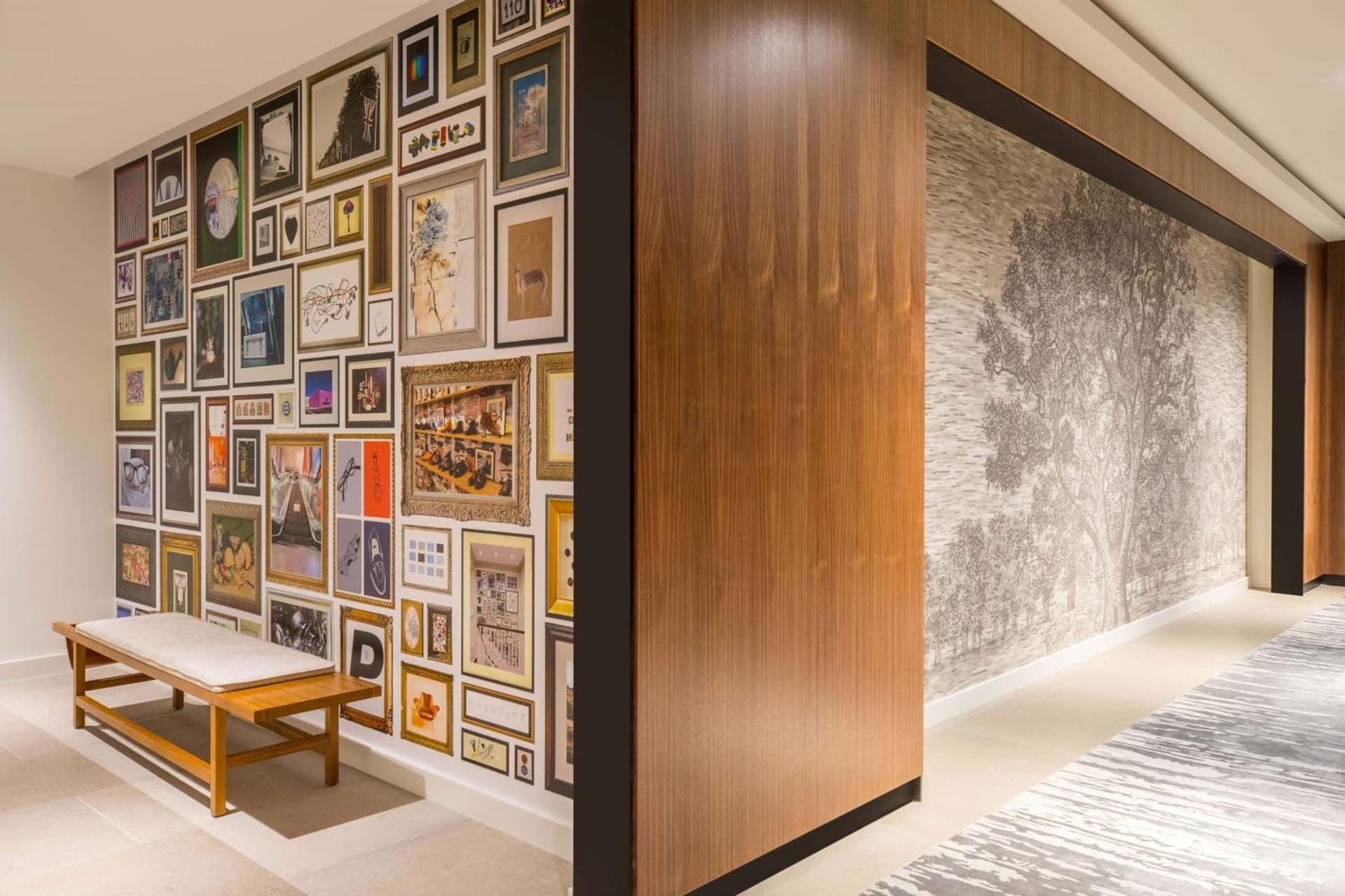 C. Baldwin, Curio Collection by Hilton gallery photo in Houston, TX — image 31
