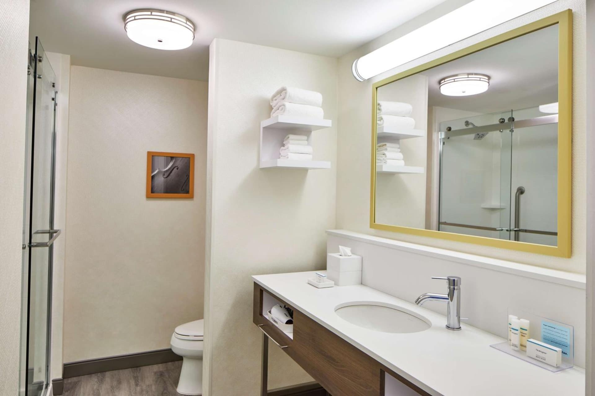 Hampton Inn & Suites Atlanta-Midtown, Ga gallery photo in Atlanta, GA — image 41