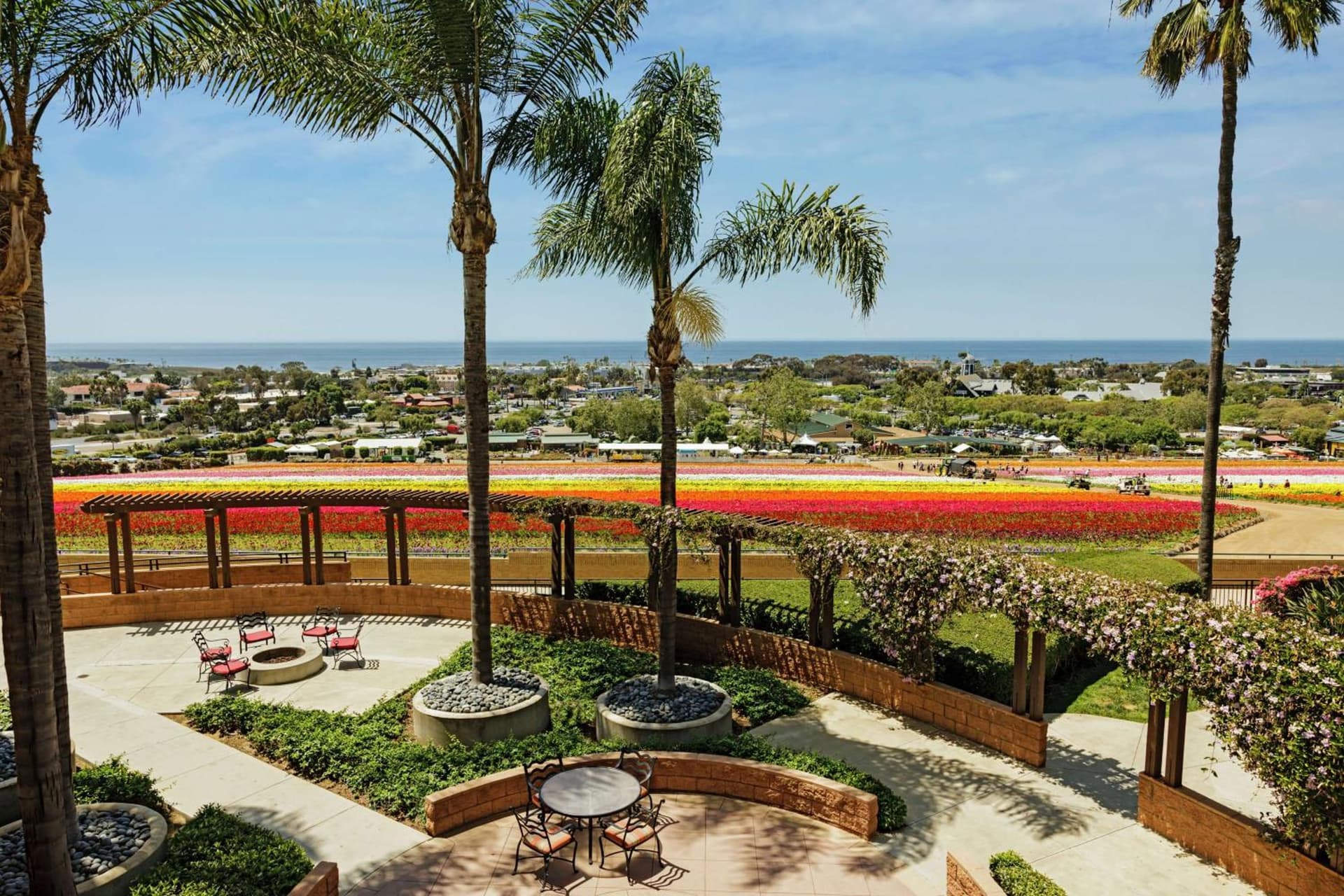 The Cassara Carlsbad, Tapestry Collection By Hilton gallery photo in Carlsbad, CA — image 59