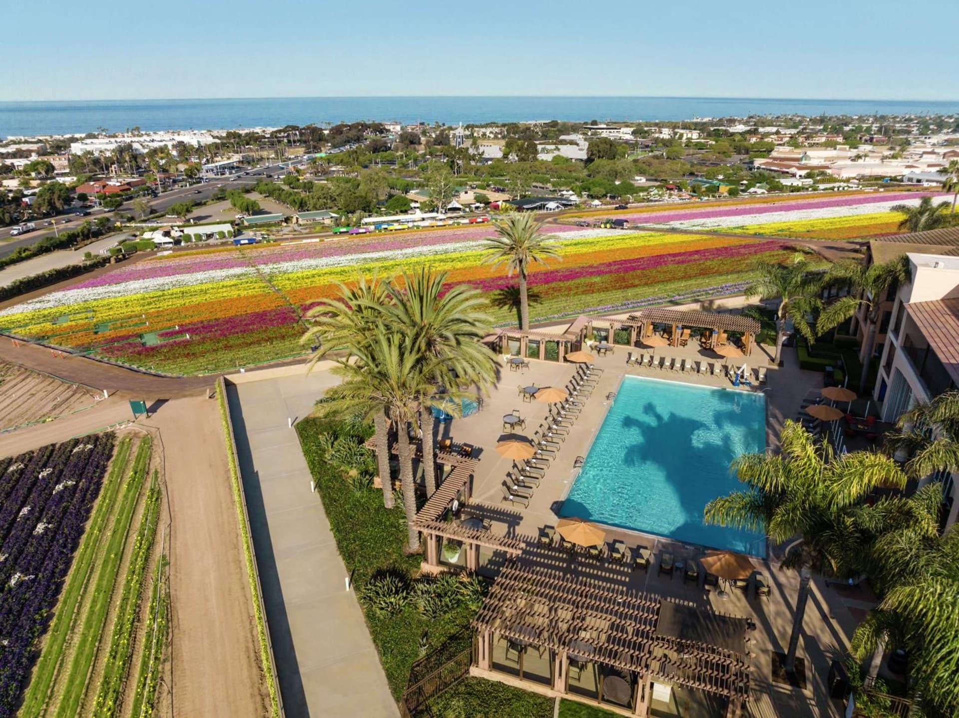 The Cassara Carlsbad, Tapestry Collection By Hilton interior in Carlsbad, CA — gallery photo 2