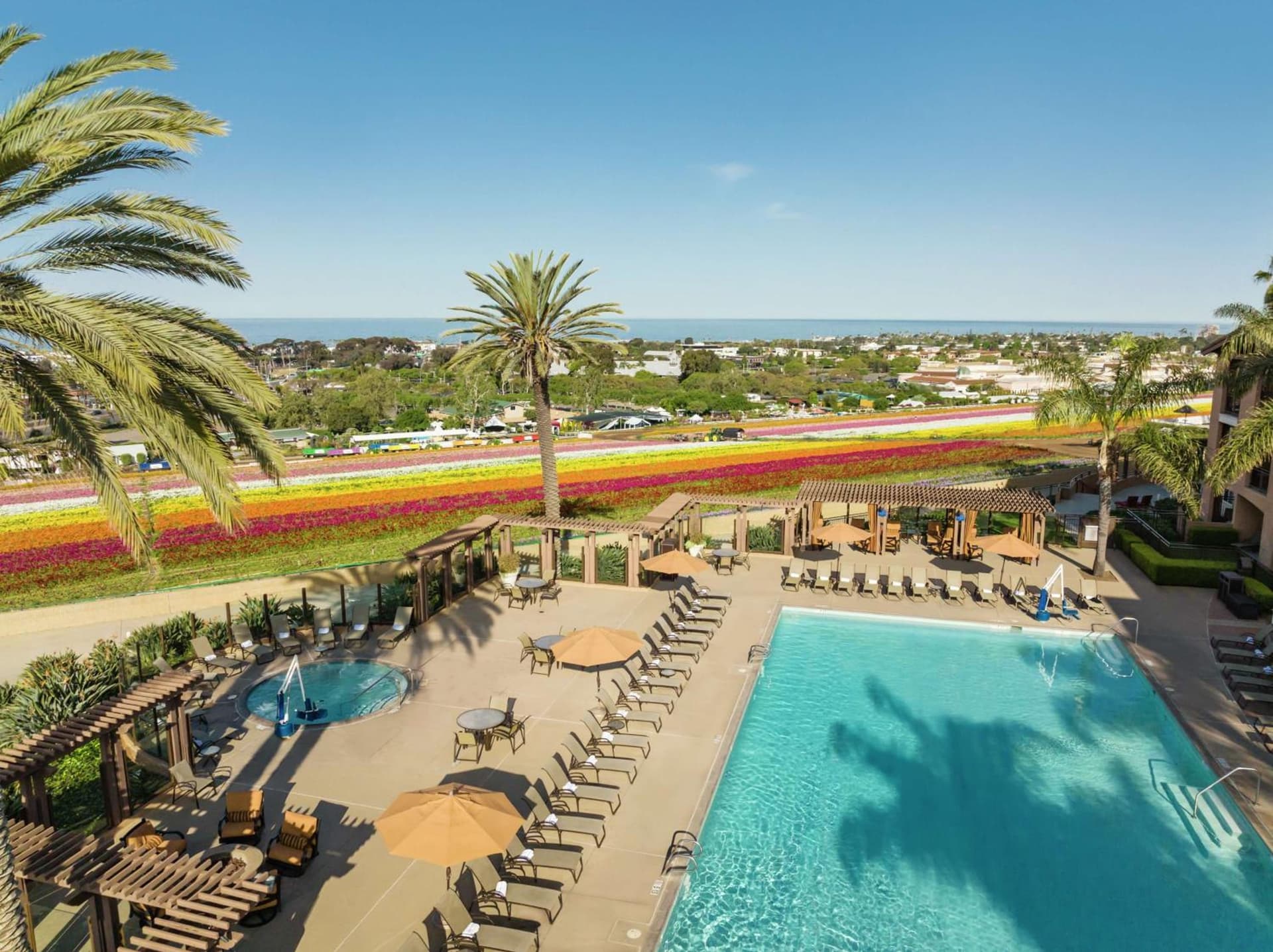 The Cassara Carlsbad, Tapestry Collection By Hilton gallery photo in Carlsbad, CA — image 48