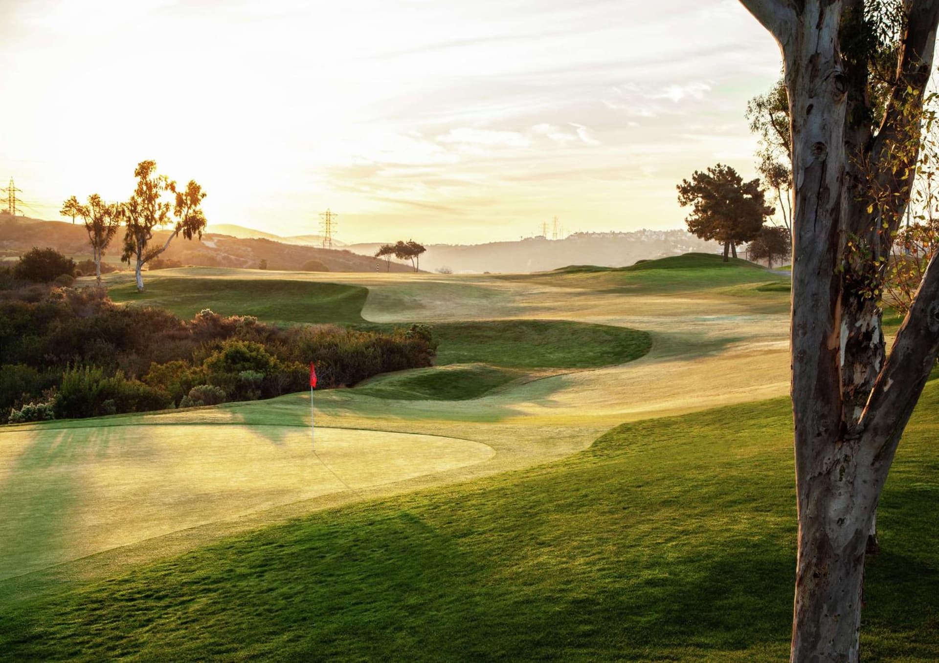 The Cassara Carlsbad, Tapestry Collection By Hilton gallery photo in Carlsbad, CA — image 89