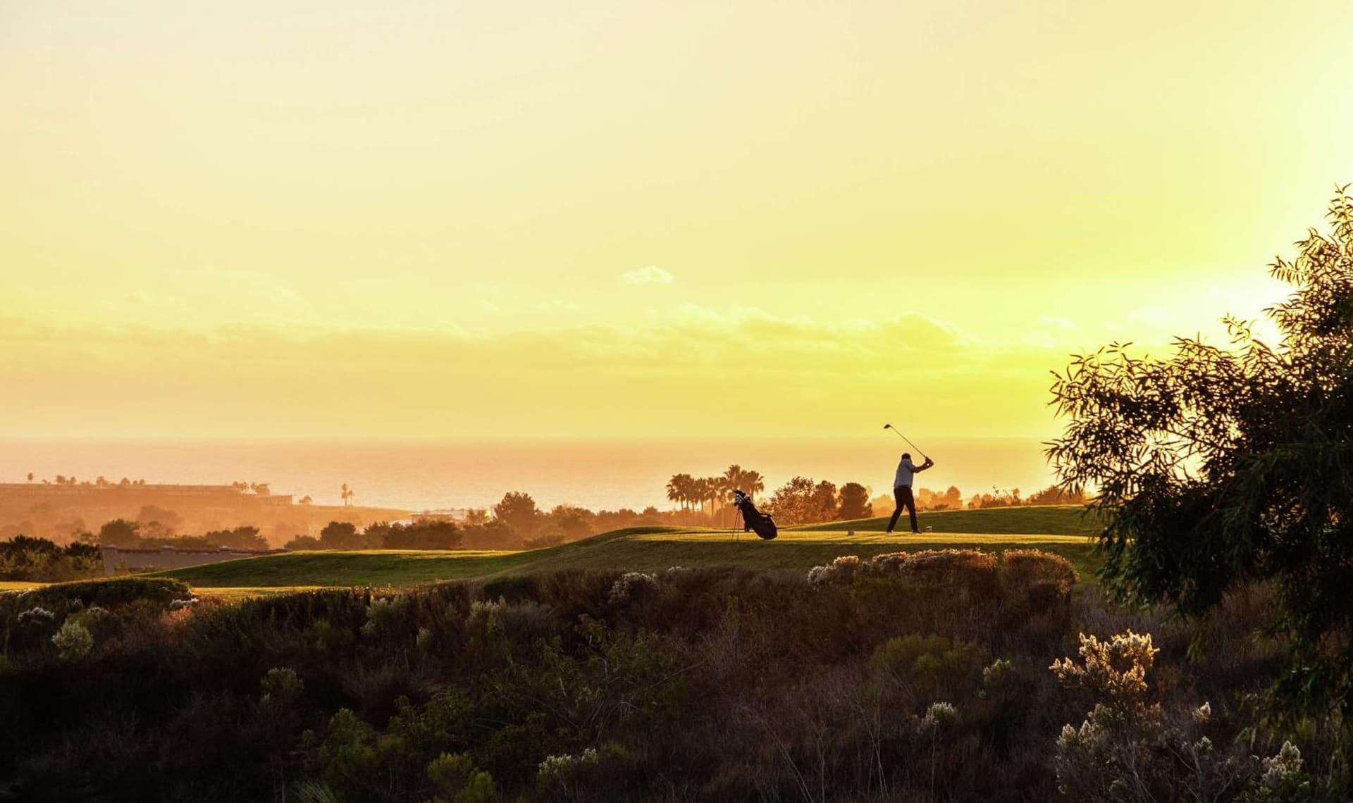 The Cassara Carlsbad, Tapestry Collection By Hilton gallery photo in Carlsbad, CA — image 74