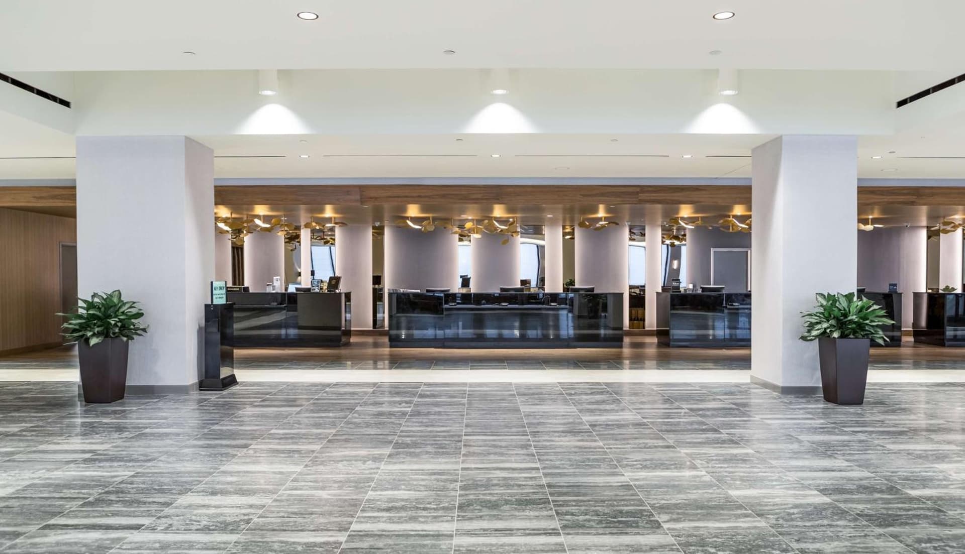 Hilton Atlanta gallery photo in Atlanta, GA — image 51