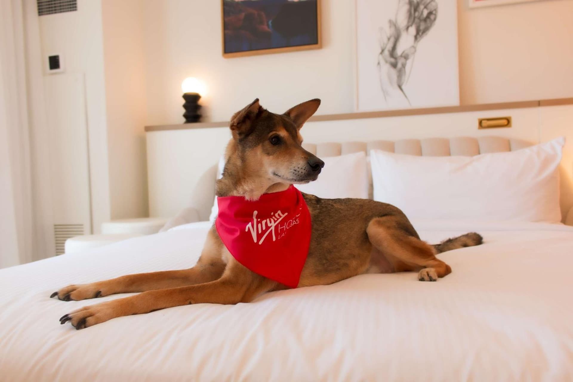 Virgin Hotels Las Vegas, Curio Collection by Hilton gallery photo in Las Vegas, NV — image 157