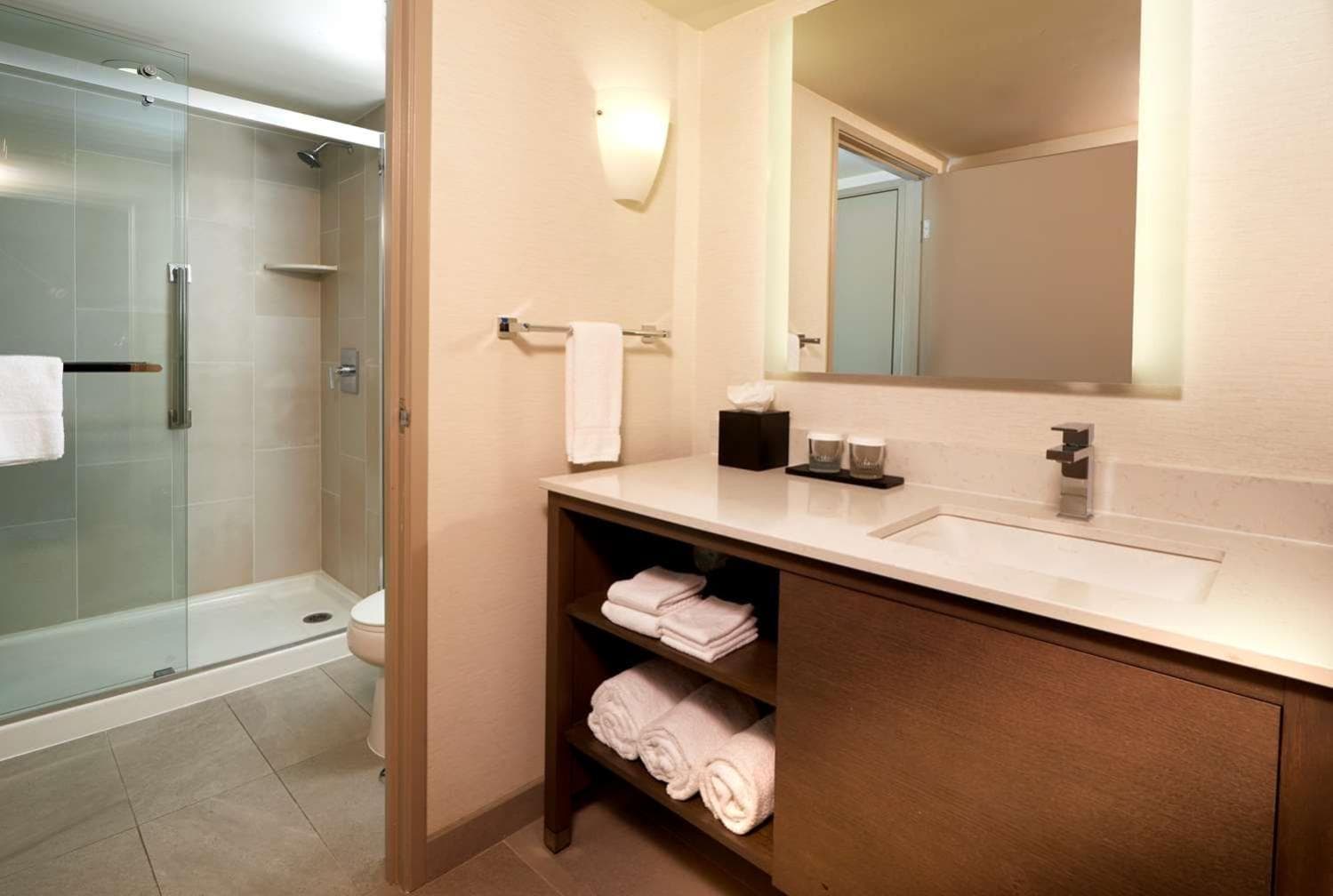 Embassy Suites by Hilton Phoenix Scottsdale gallery photo in Phoenix, AZ — image 33