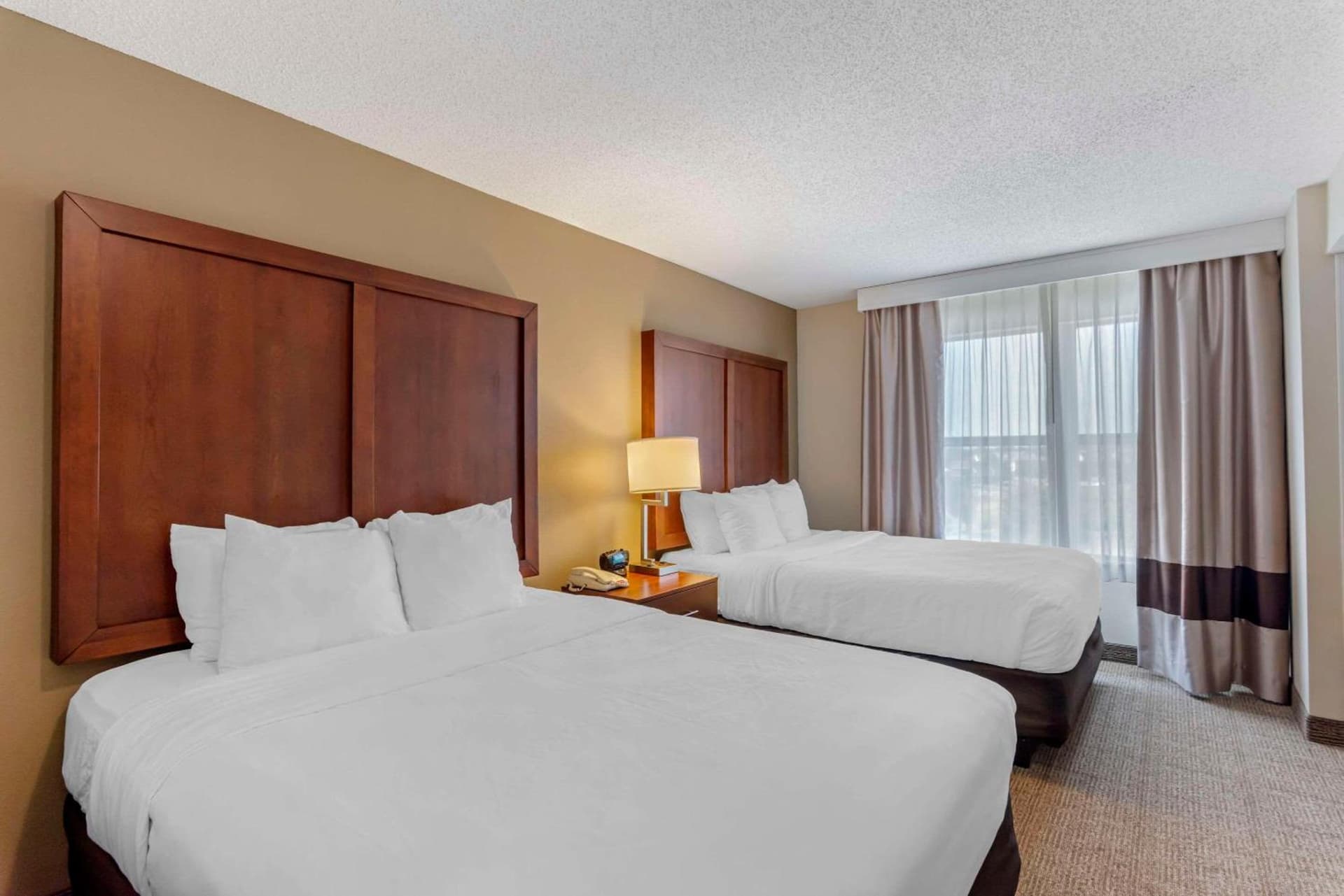 Comfort Inn & Suites Dover near Speedway gallery photo in Dover, DE — image 22