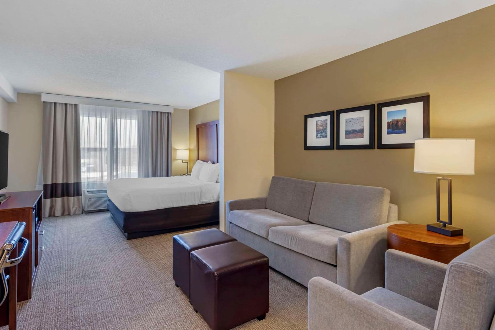 Comfort Inn & Suites Dover near Speedway gallery photo in Dover, DE — image 20