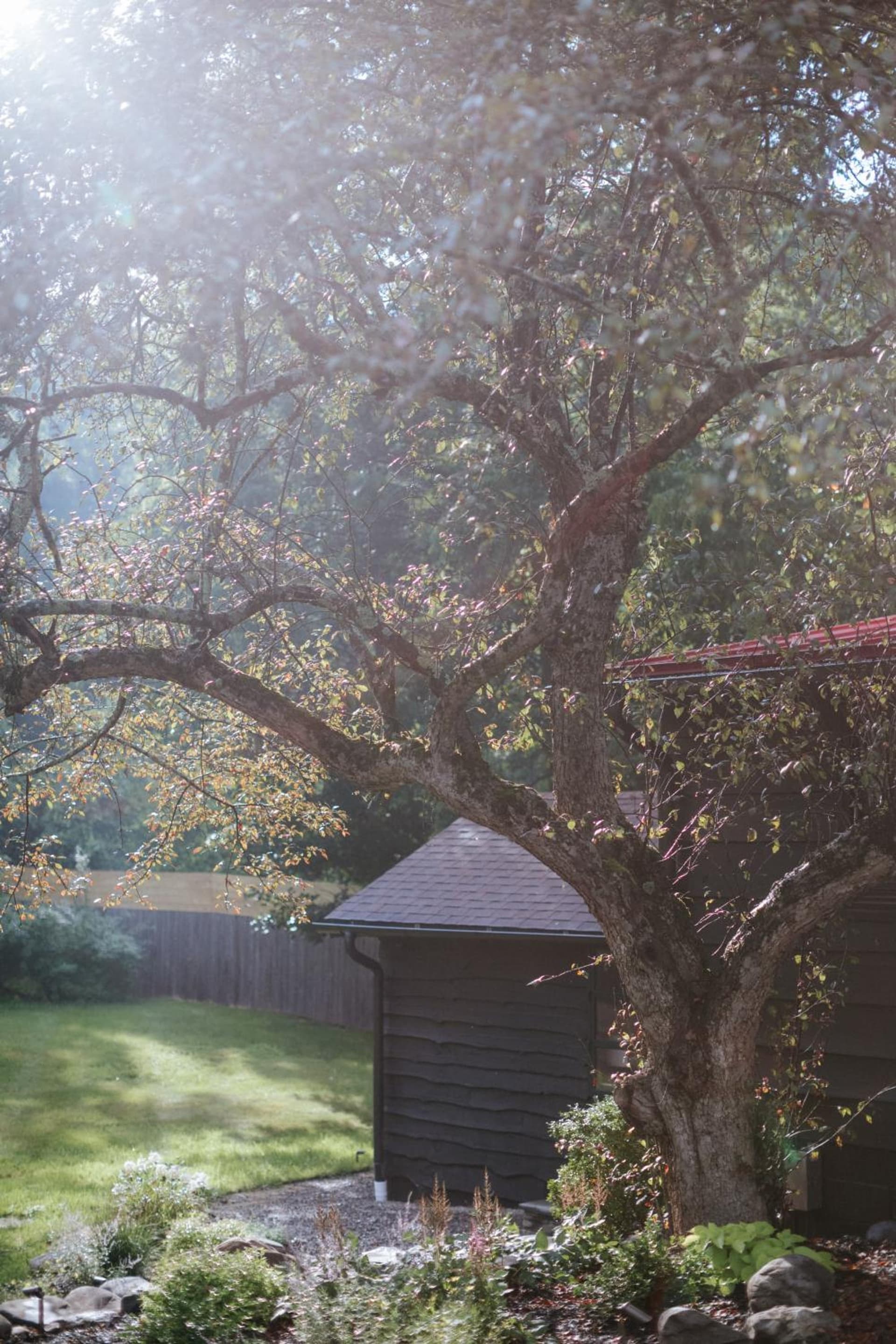 The Leeway gallery photo in Mount Tremper — image 49