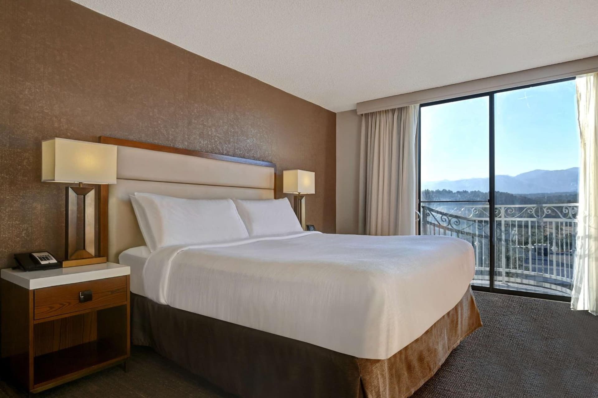 Embassy Suites by Hilton Colorado Springs gallery photo in Colorado Springs, CO — image 34