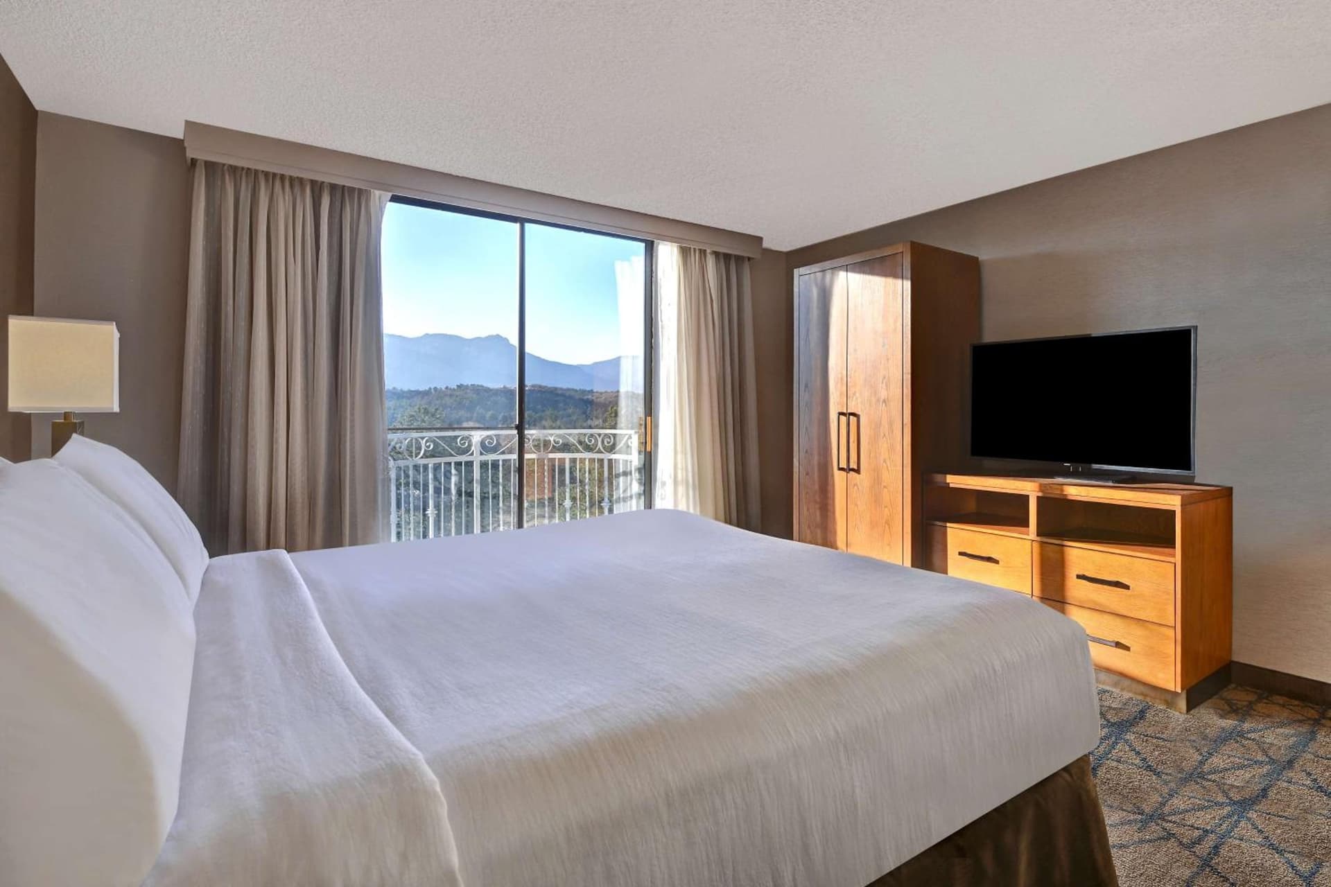 Embassy Suites by Hilton Colorado Springs gallery photo in Colorado Springs, CO — image 11