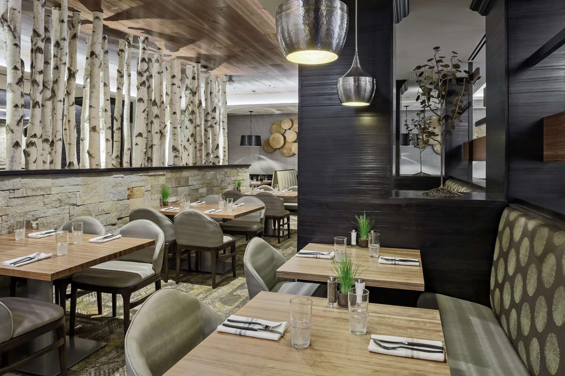 DoubleTree by Hilton Hotel Denver gallery photo in Denver, CO — image 16