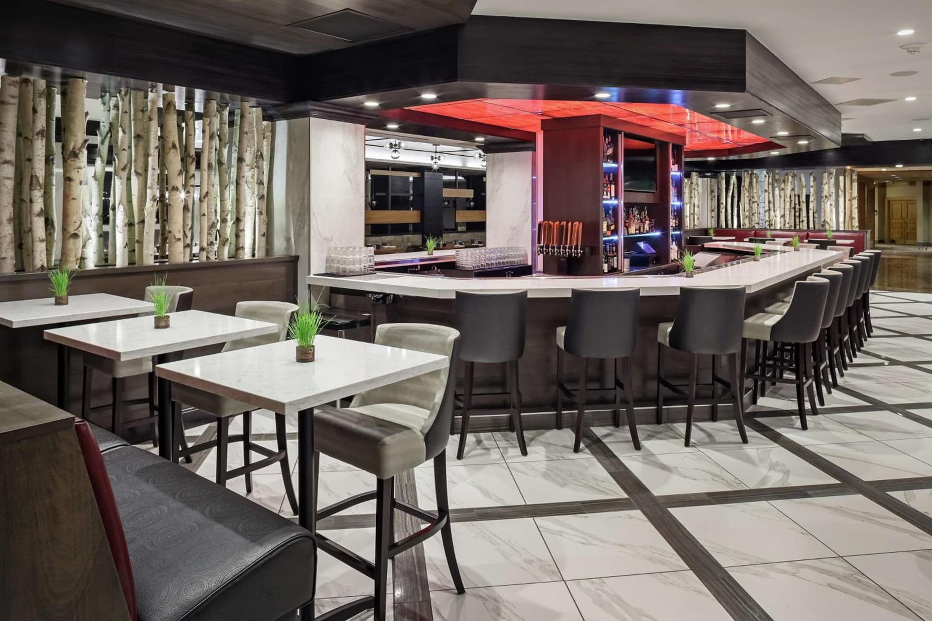 DoubleTree by Hilton Hotel Denver gallery photo in Denver, CO — image 30